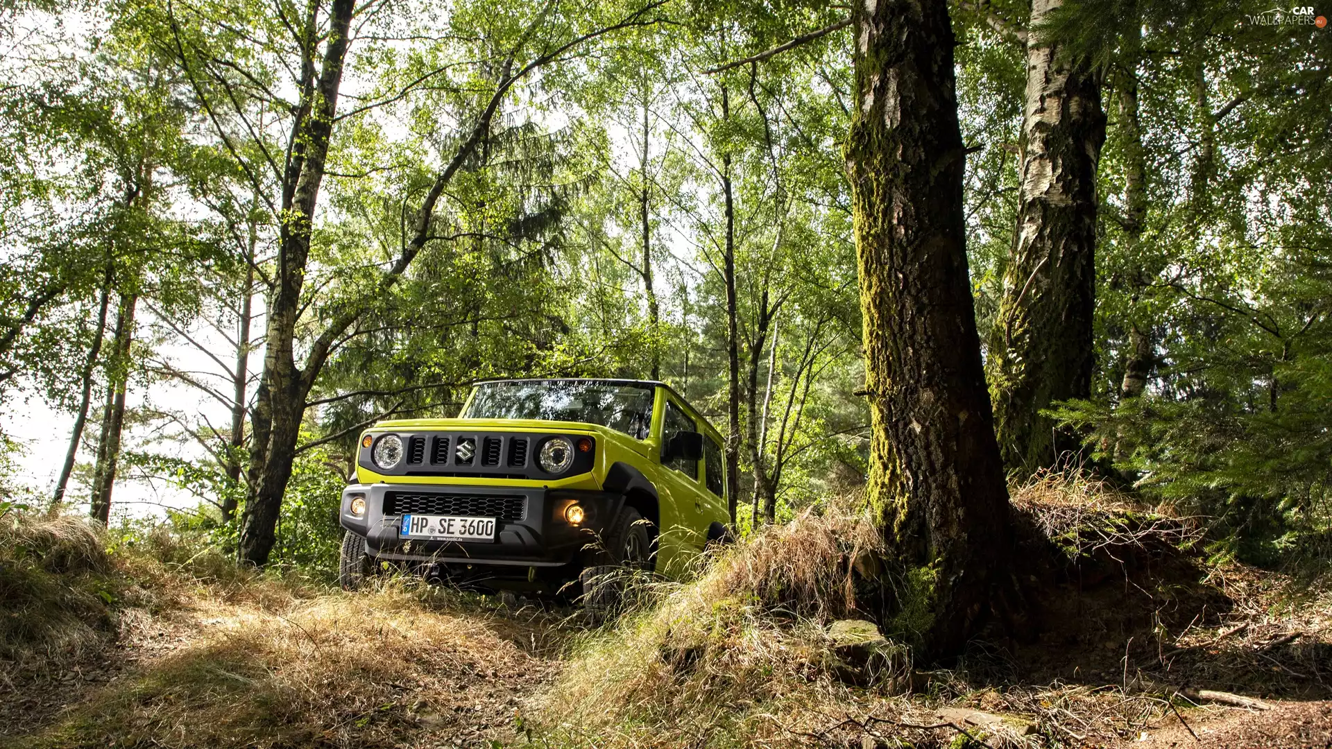 forest, Suzuki Jimny, Front