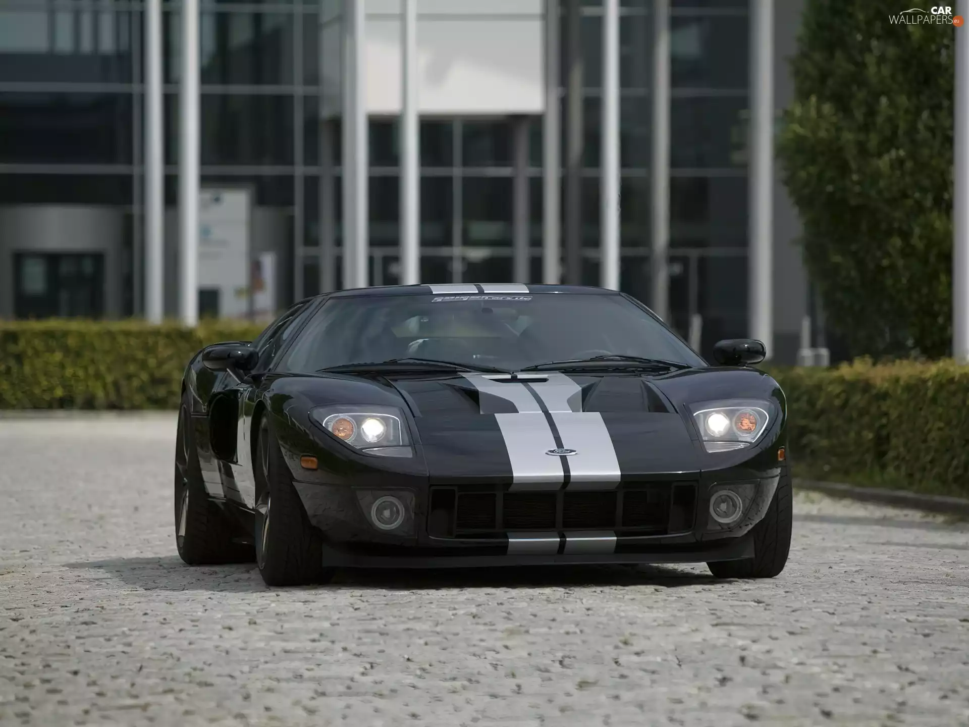 Front, Ford GT