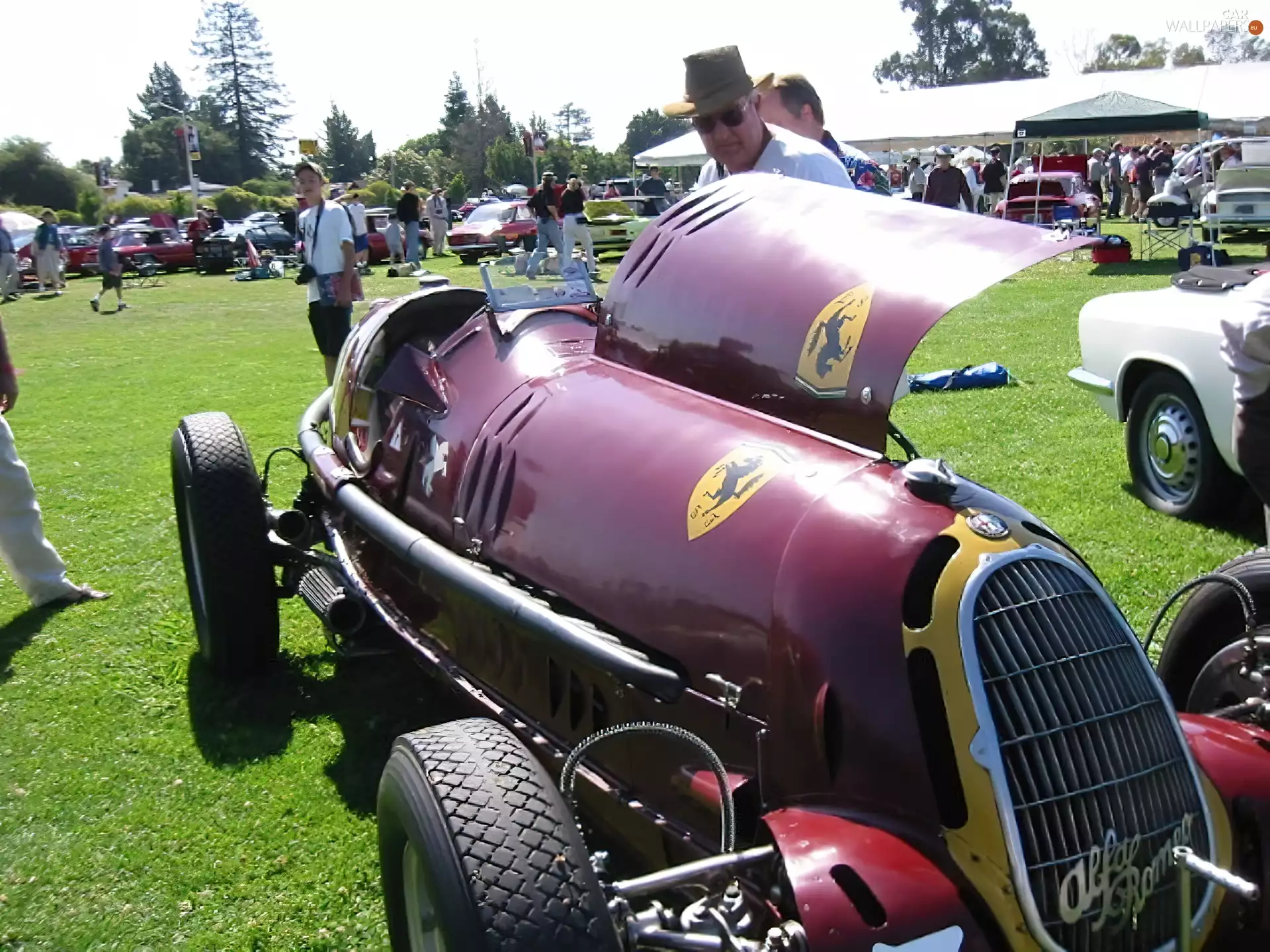 Mask, Alfa Romeo, Front