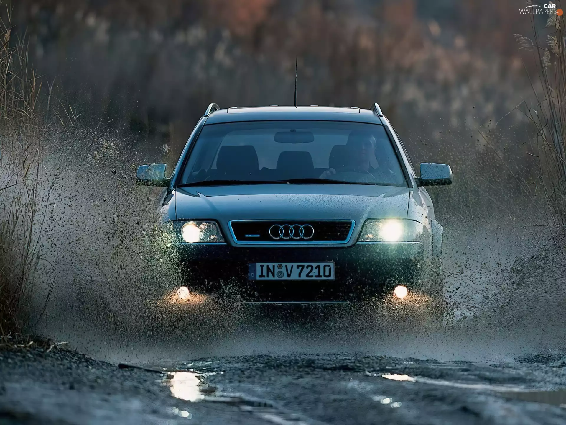 Mud, Audi Allroad, Front