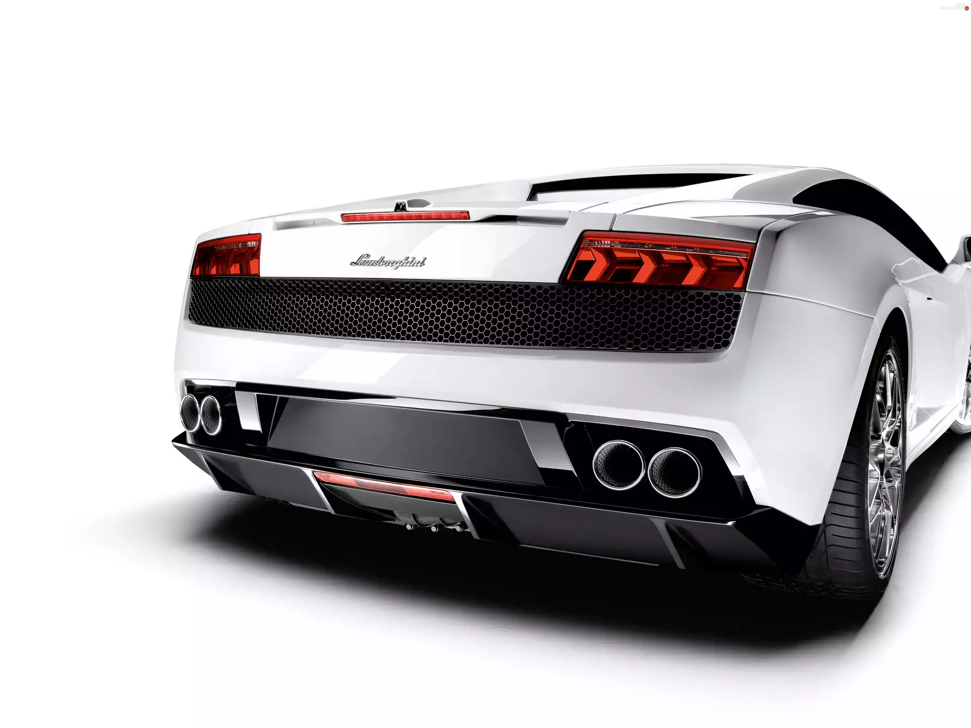 Lamborghini Gallardo Lp-560, Back