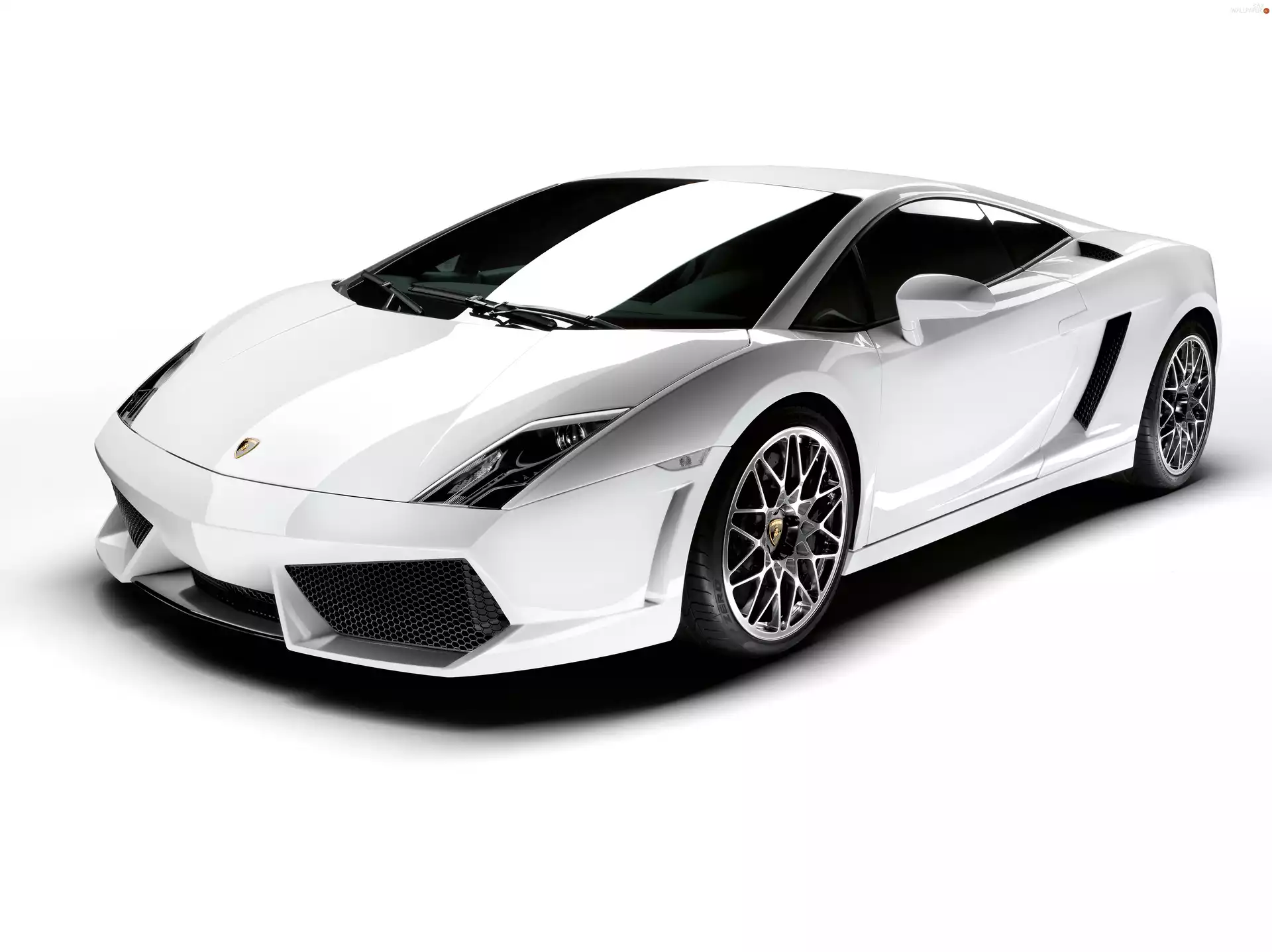 Mask, White, Lamborghini Gallardo