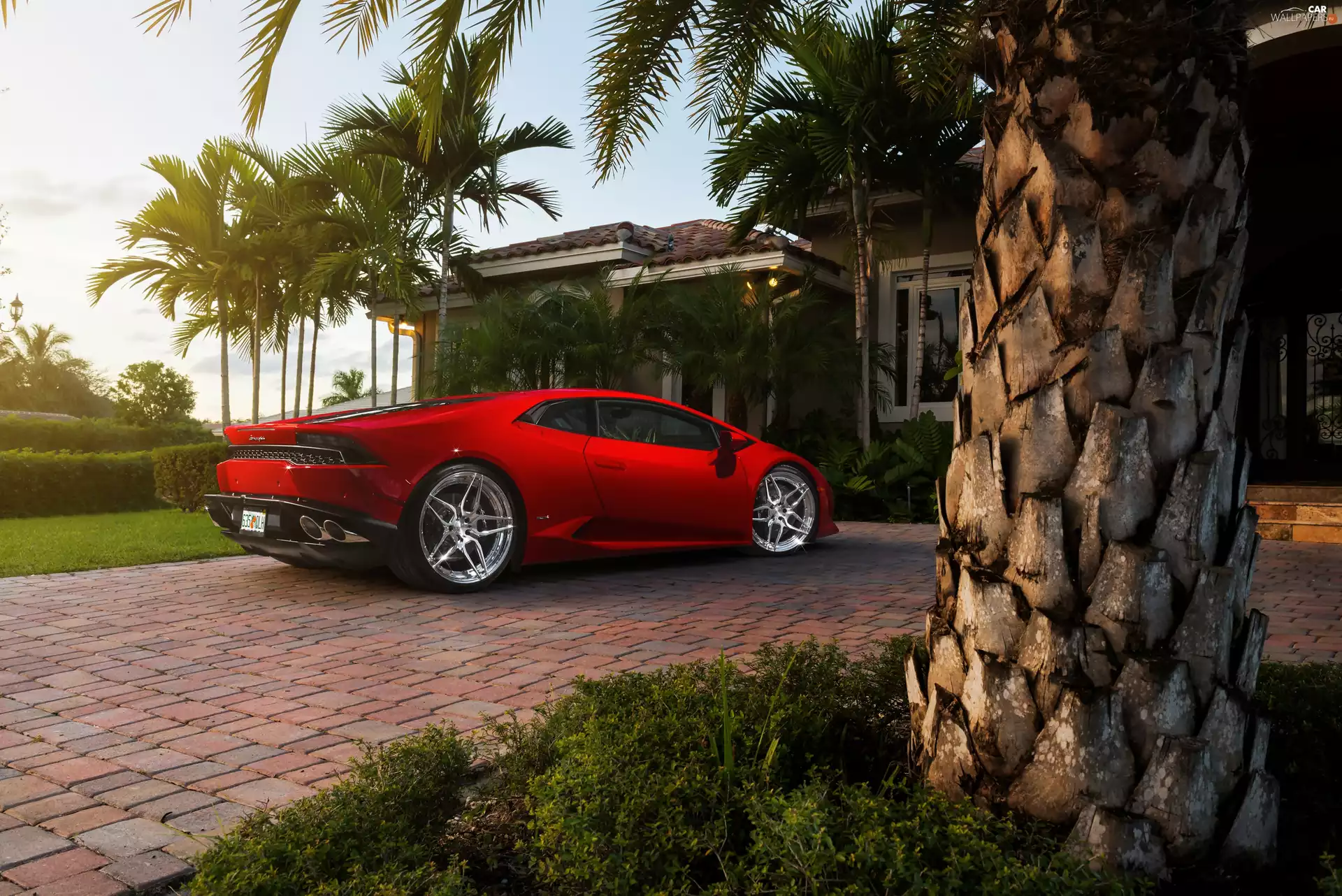 Garden, Automobile, house