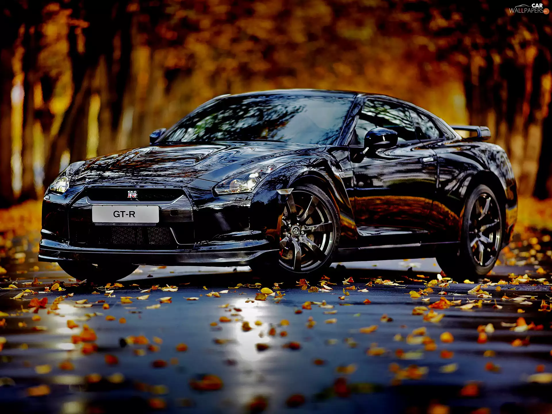 Nissan, Granate, autumn, glamour, GTR, Automobile