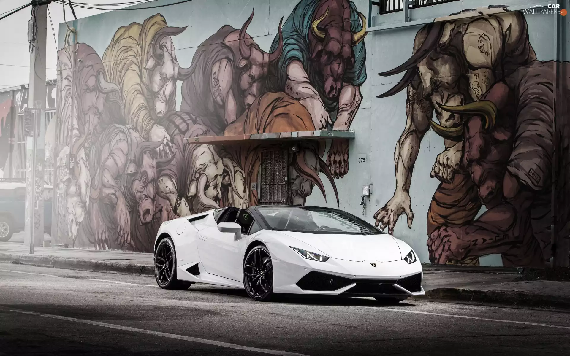 Graffiti, Automobile, Lamborghini