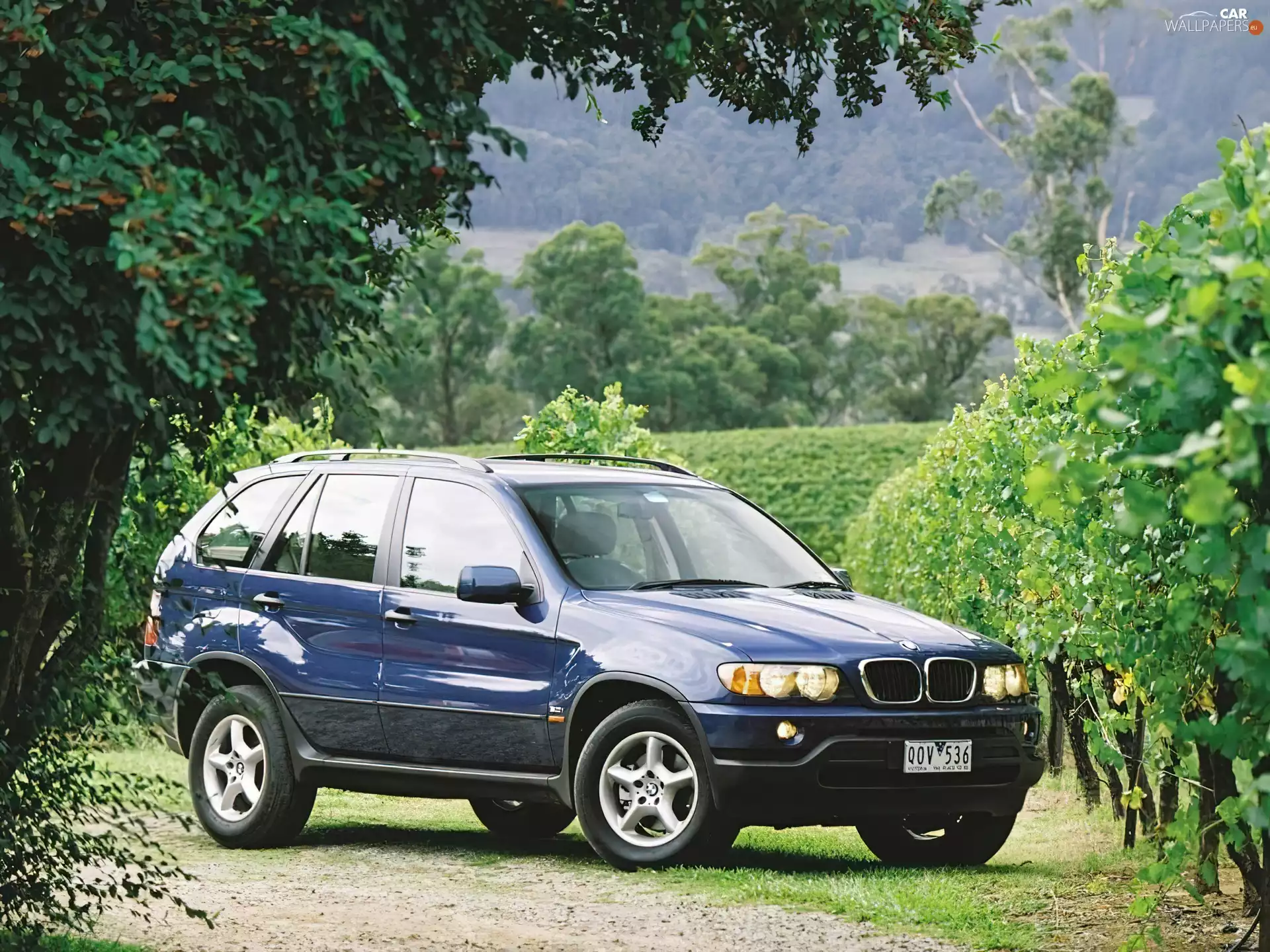 Granate, Bmw X5