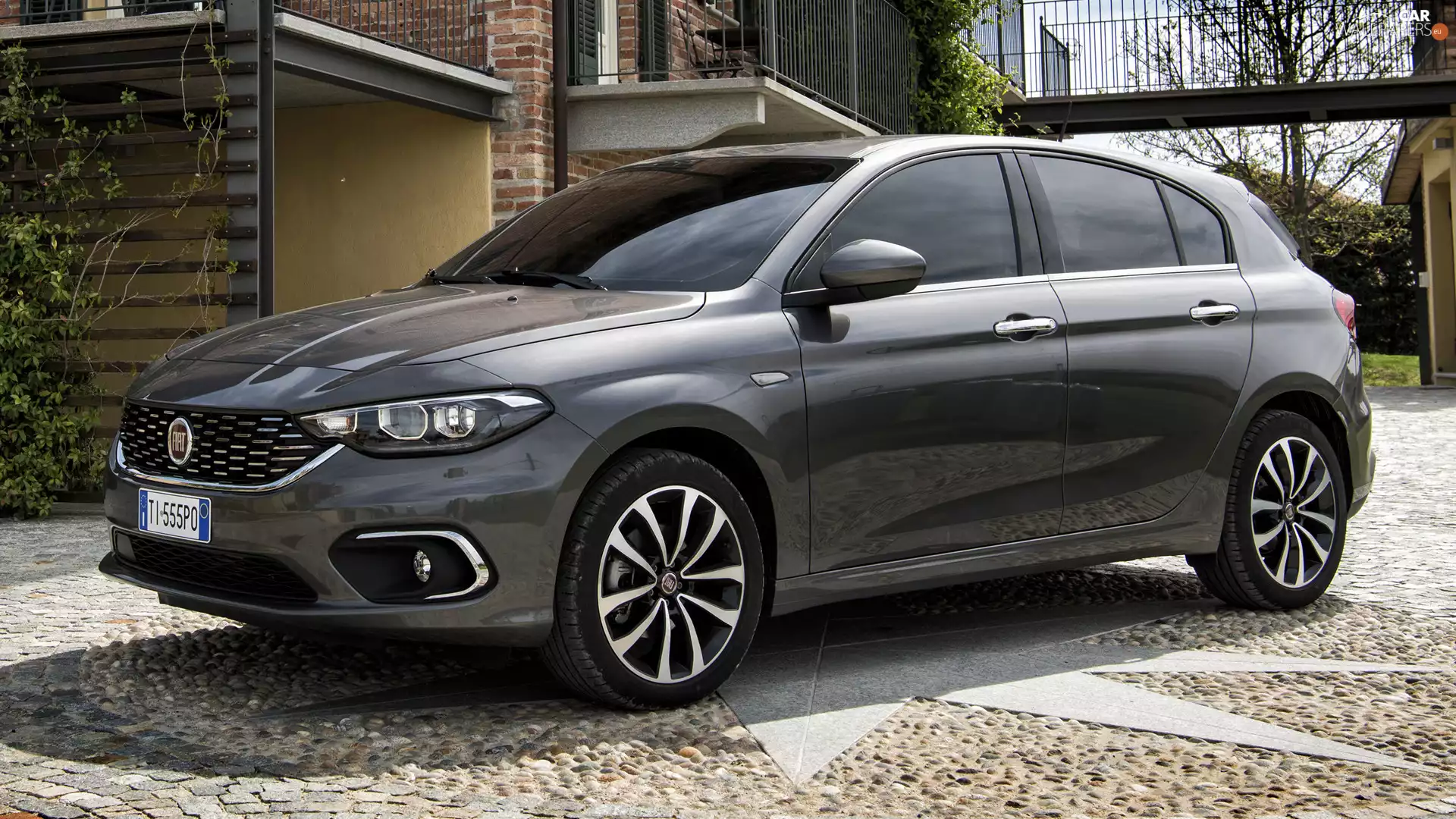 graphite, Fiat Tipo