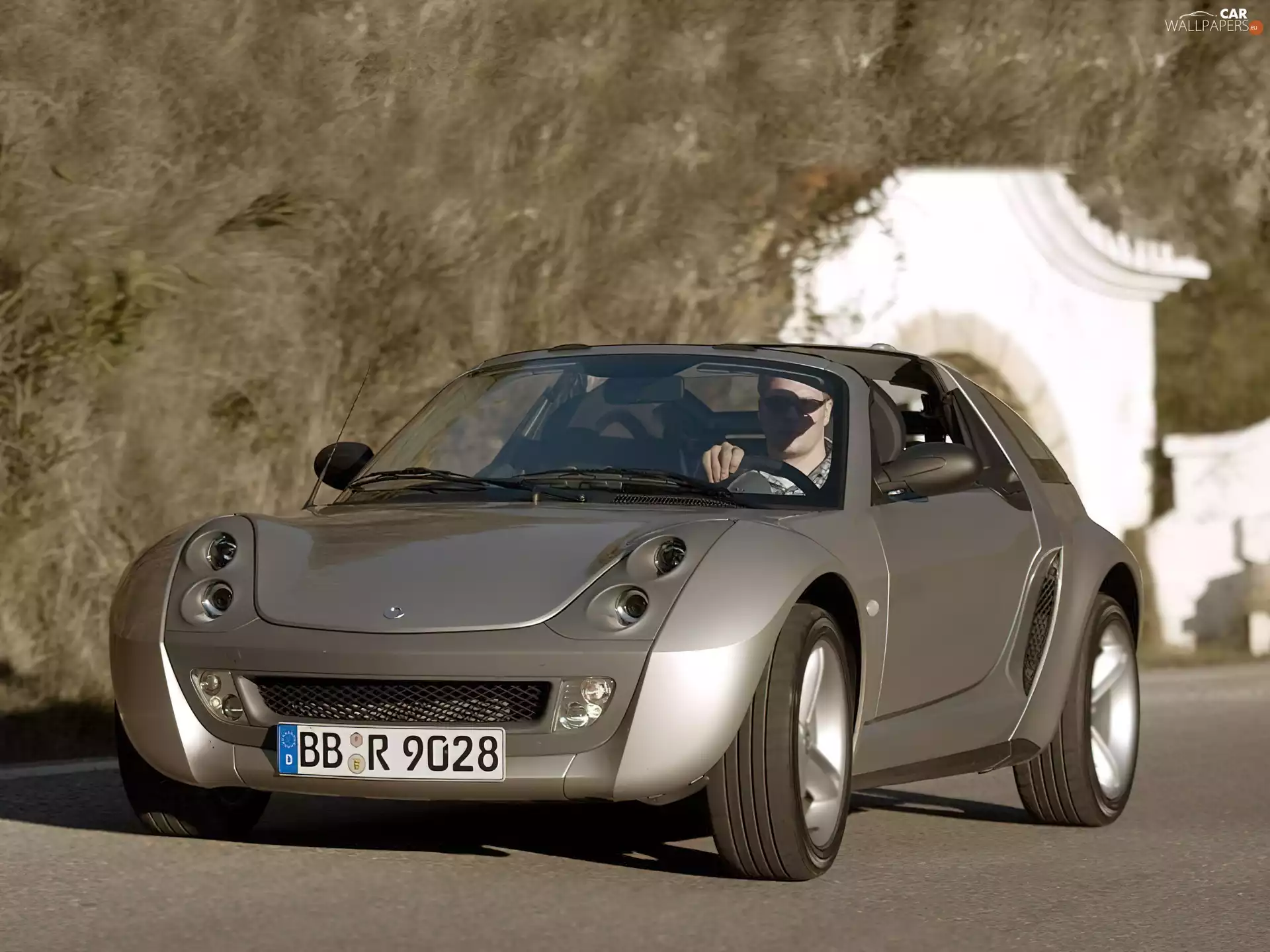 Gray, Smart Roadster