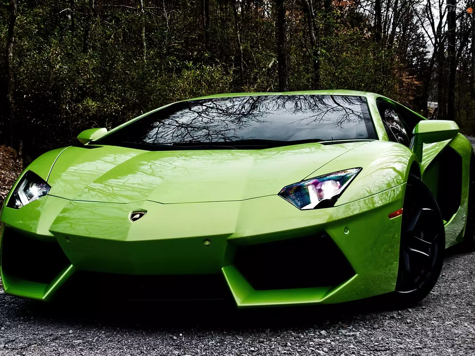 Green, Lamborghini Aventador
