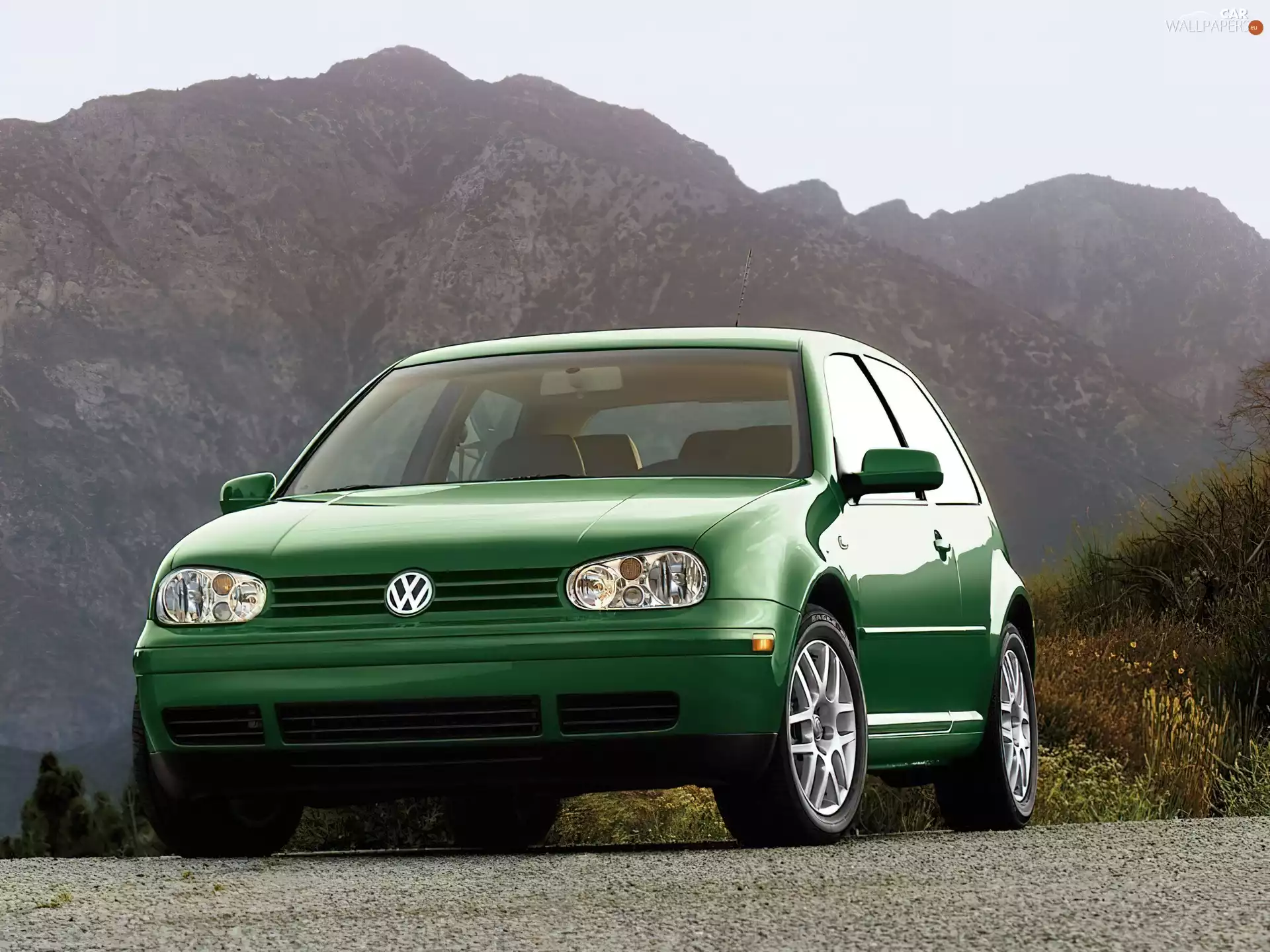 Volkswagen Golf 4, Green