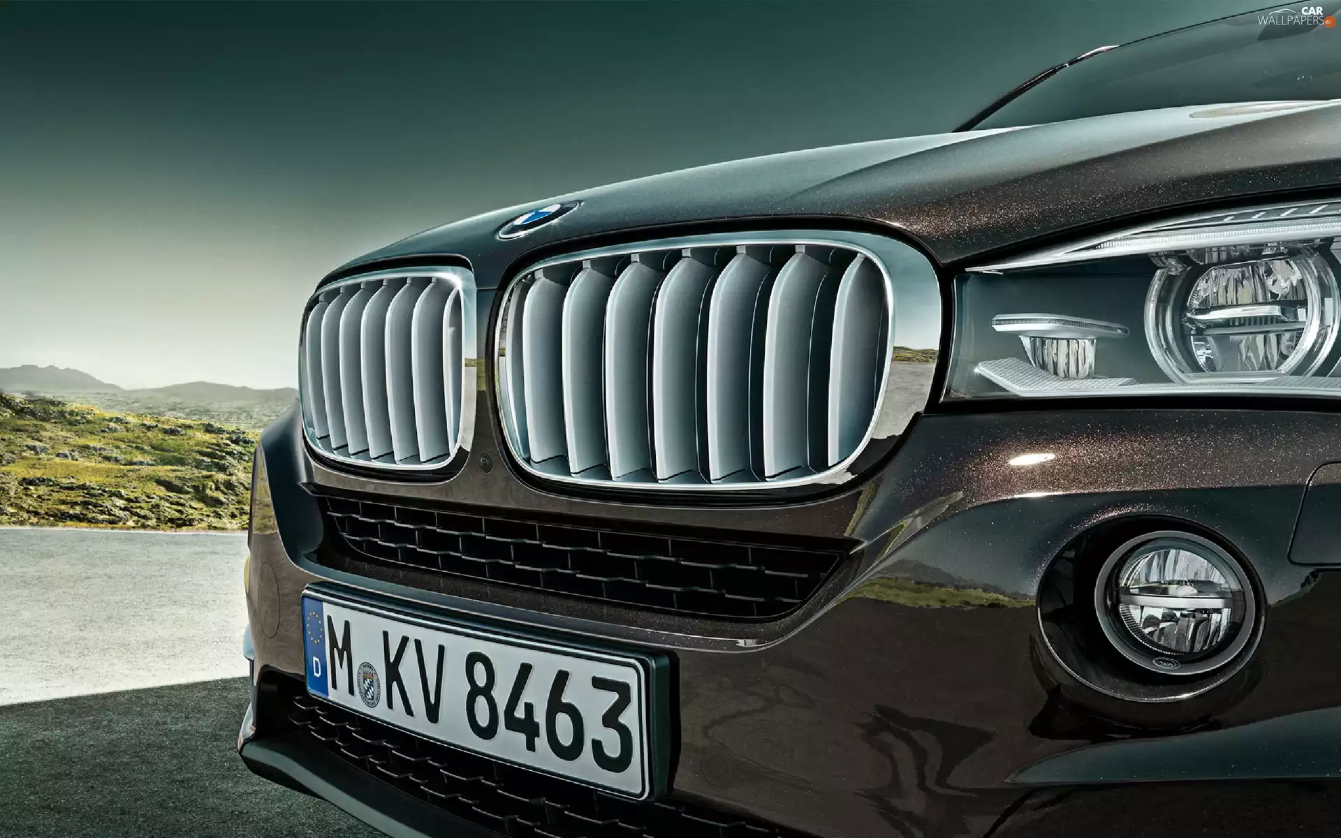 BMW x5 E70, Grill
