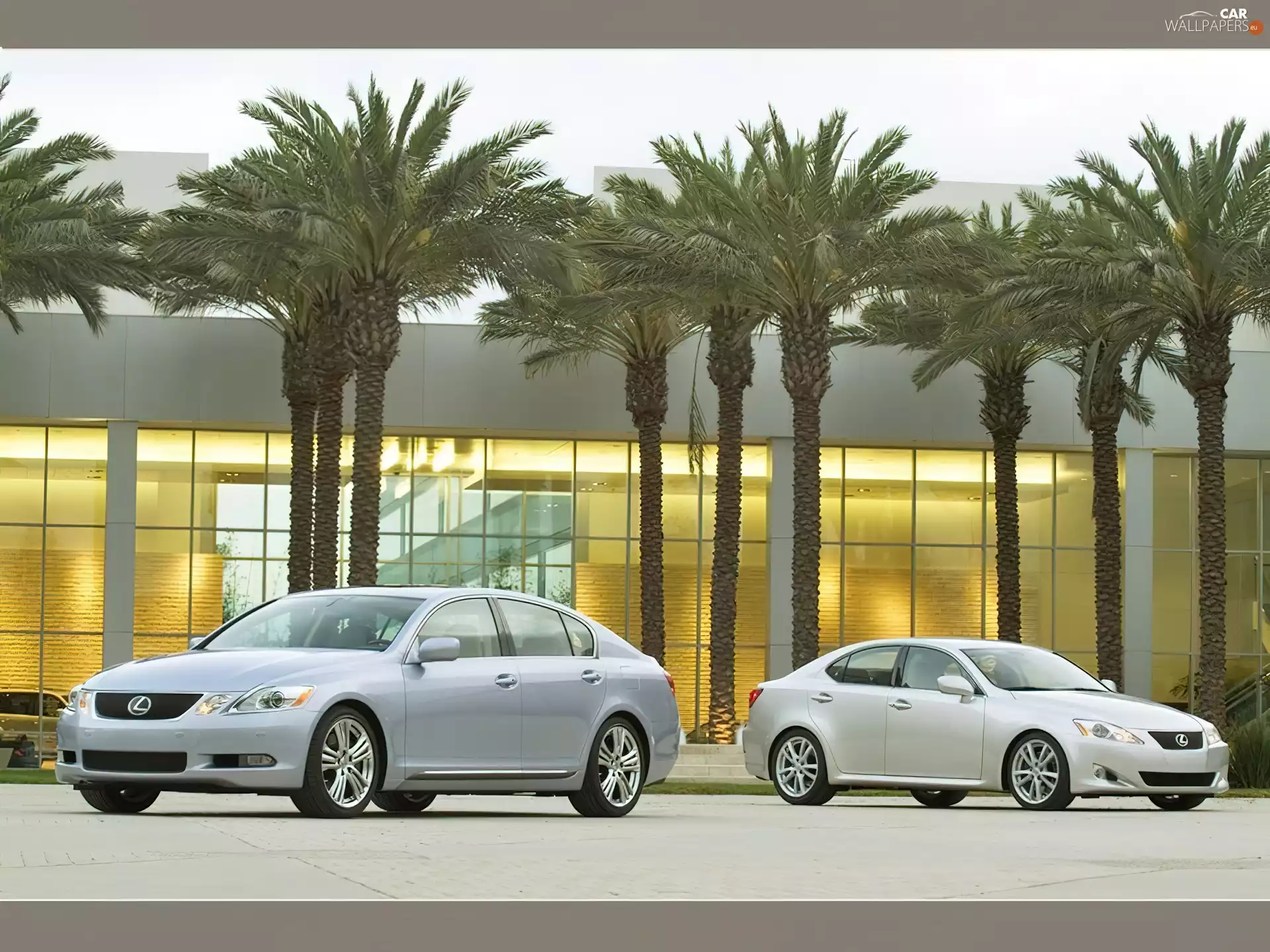 Lexus GS i IS Series