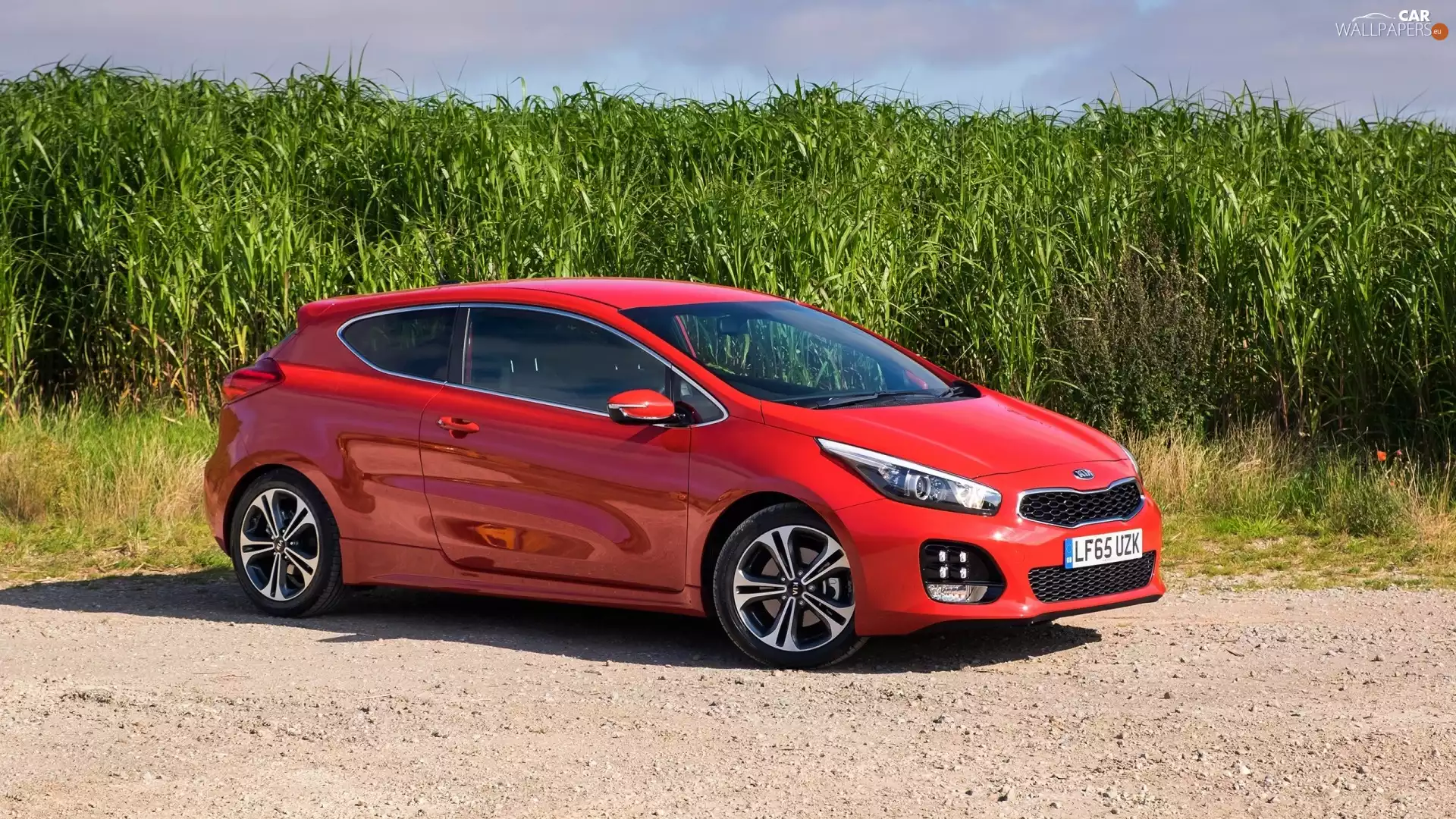 Kia Pro Ceed GT-Line, 2016