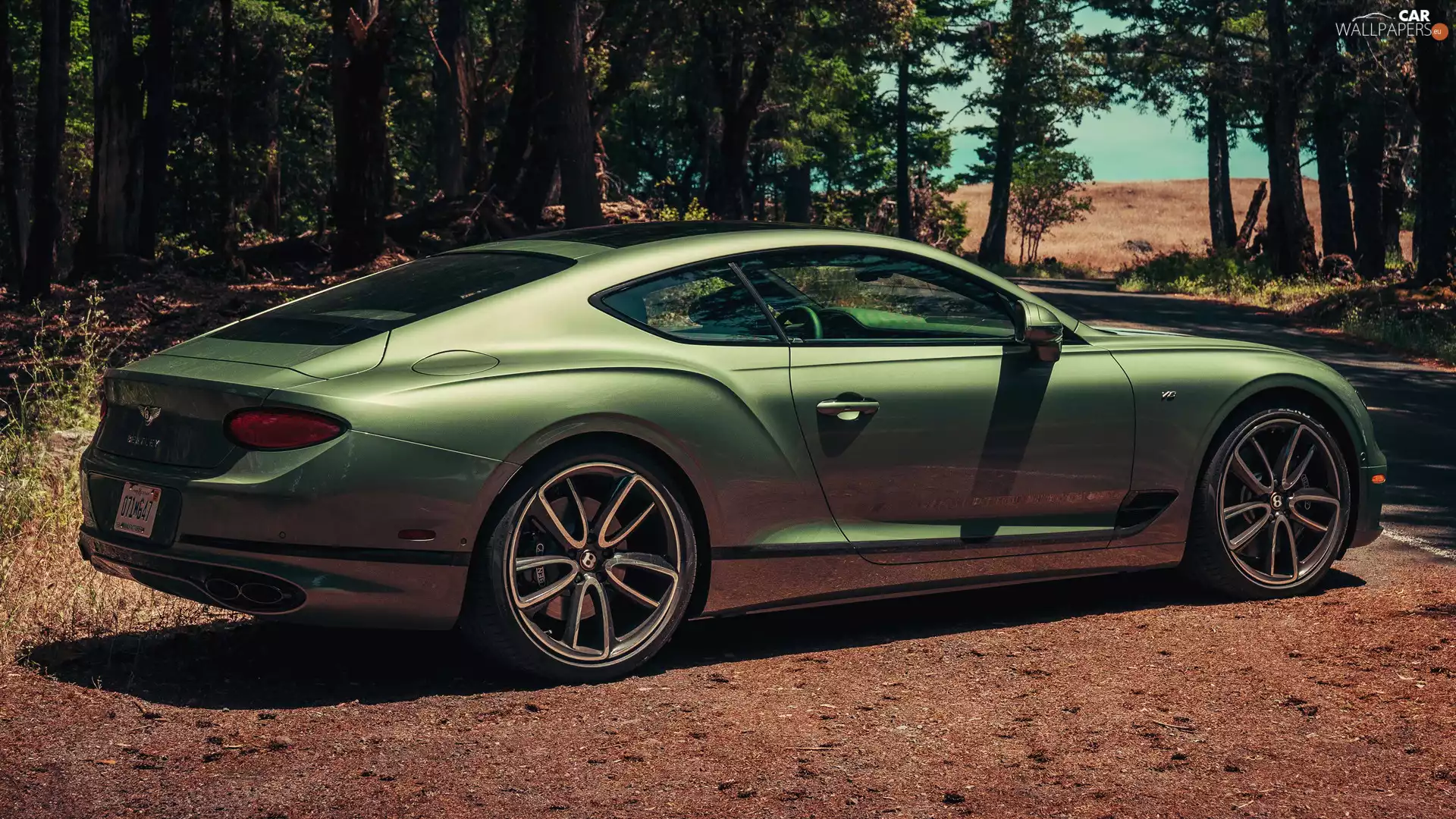 Green, Bentley Continental GT