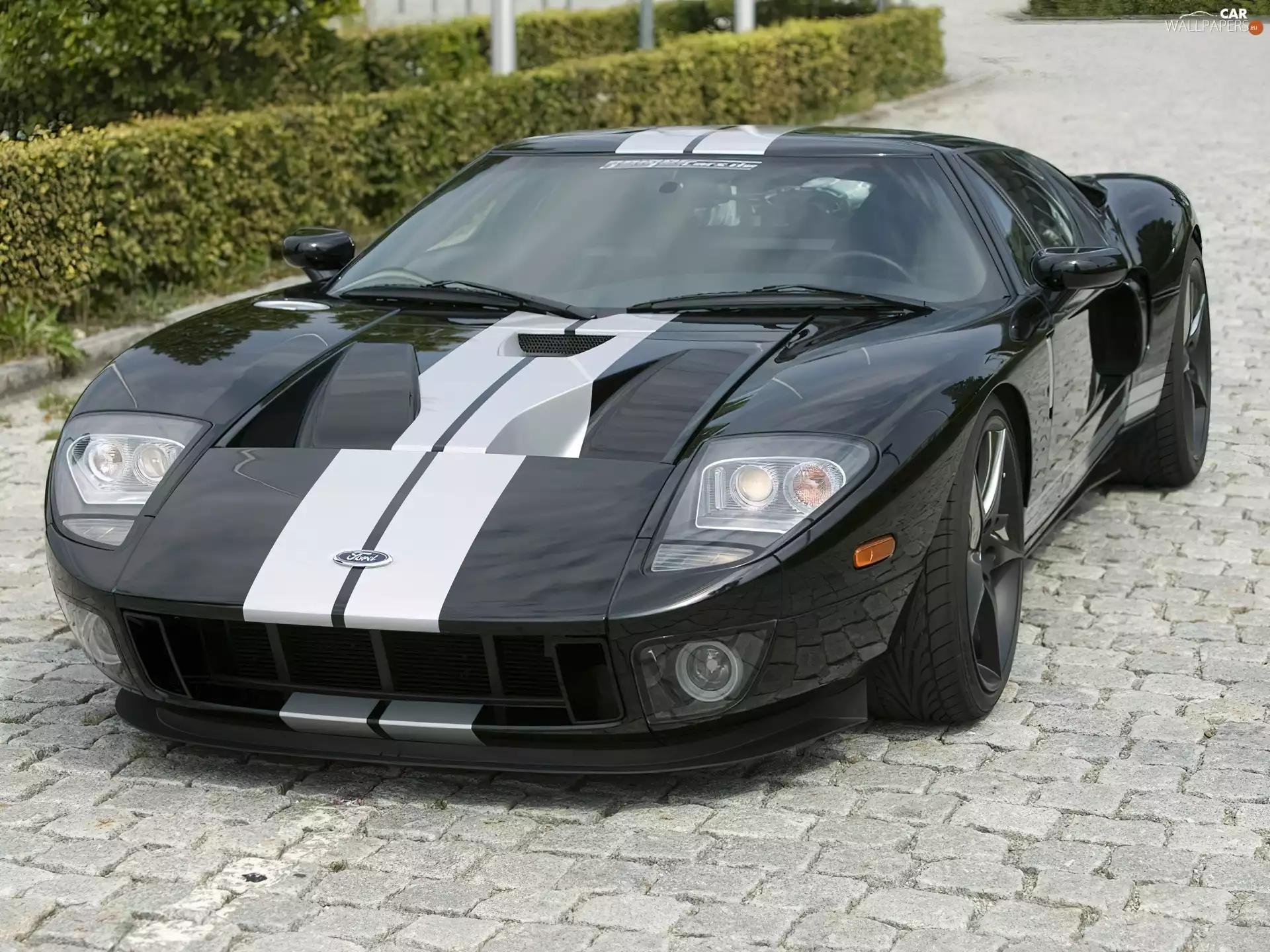Ford GT, Line, bodies, Sports