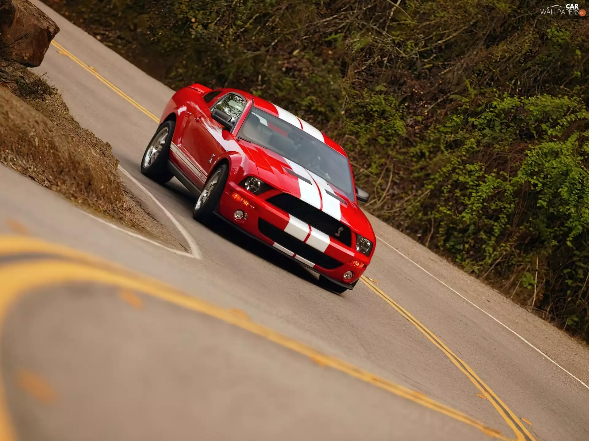 Red, Ford Mustang, GT 500, Shelby