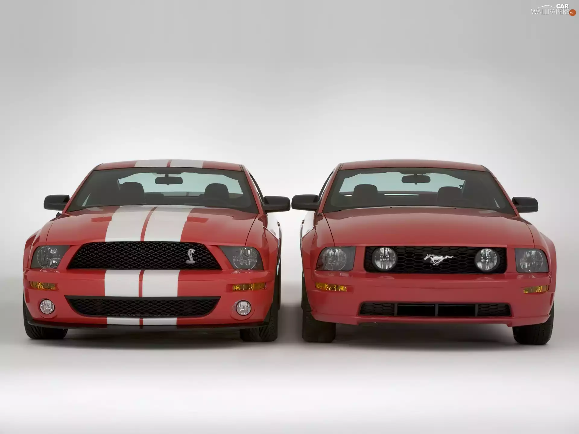 Ford Mustang and GT500