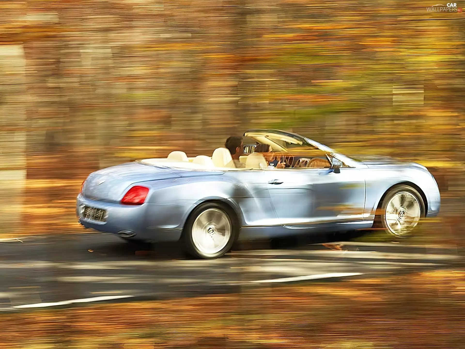 blue, Bentley Continental GTC