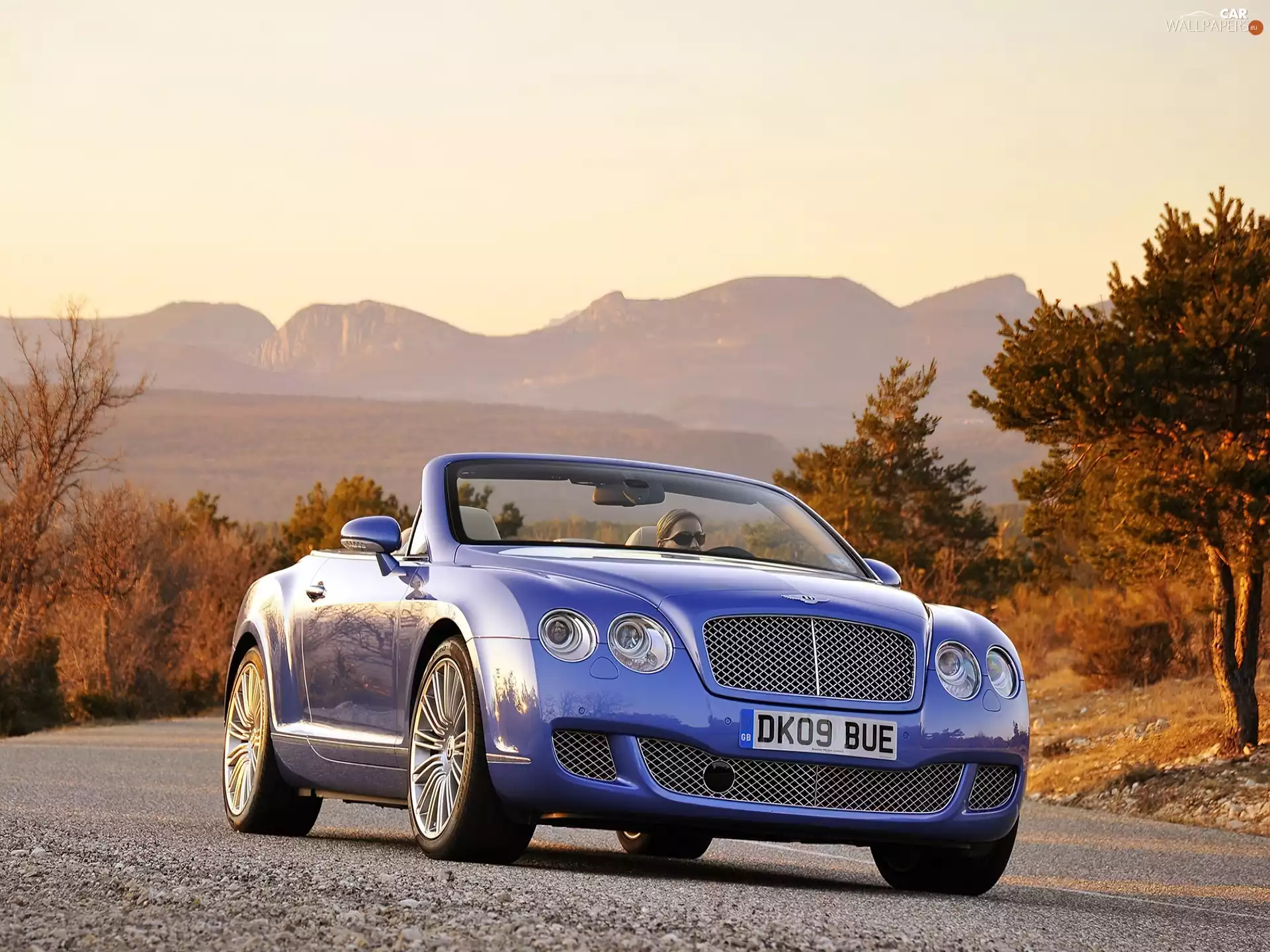 blue, Bentley Continental GTC