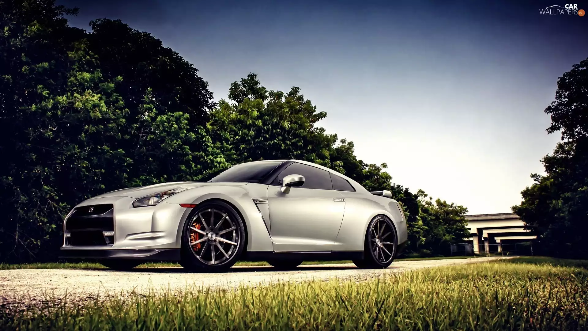 GTR, Nissan, Automobile