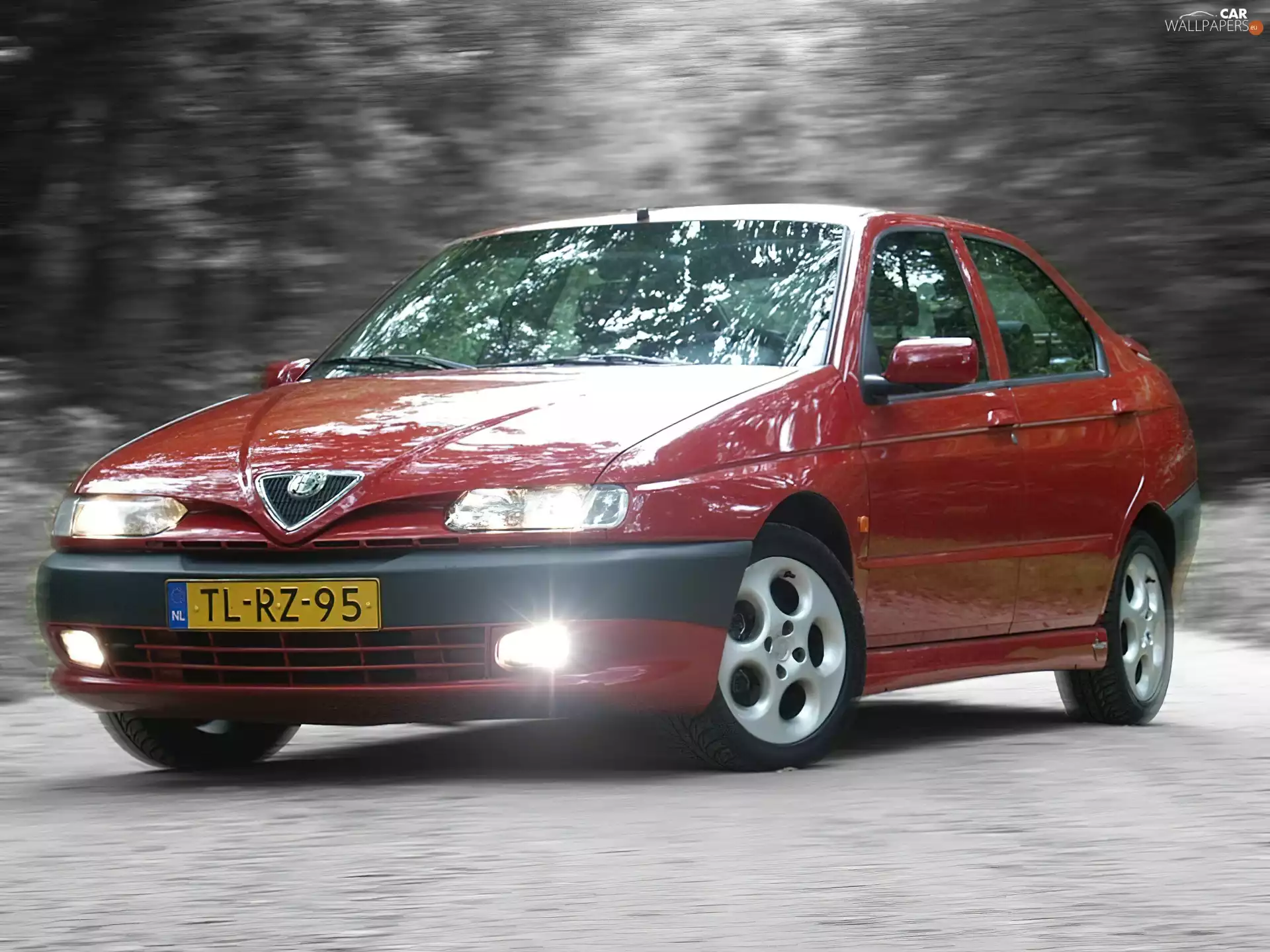 Alfa Romeo 146, Halogens