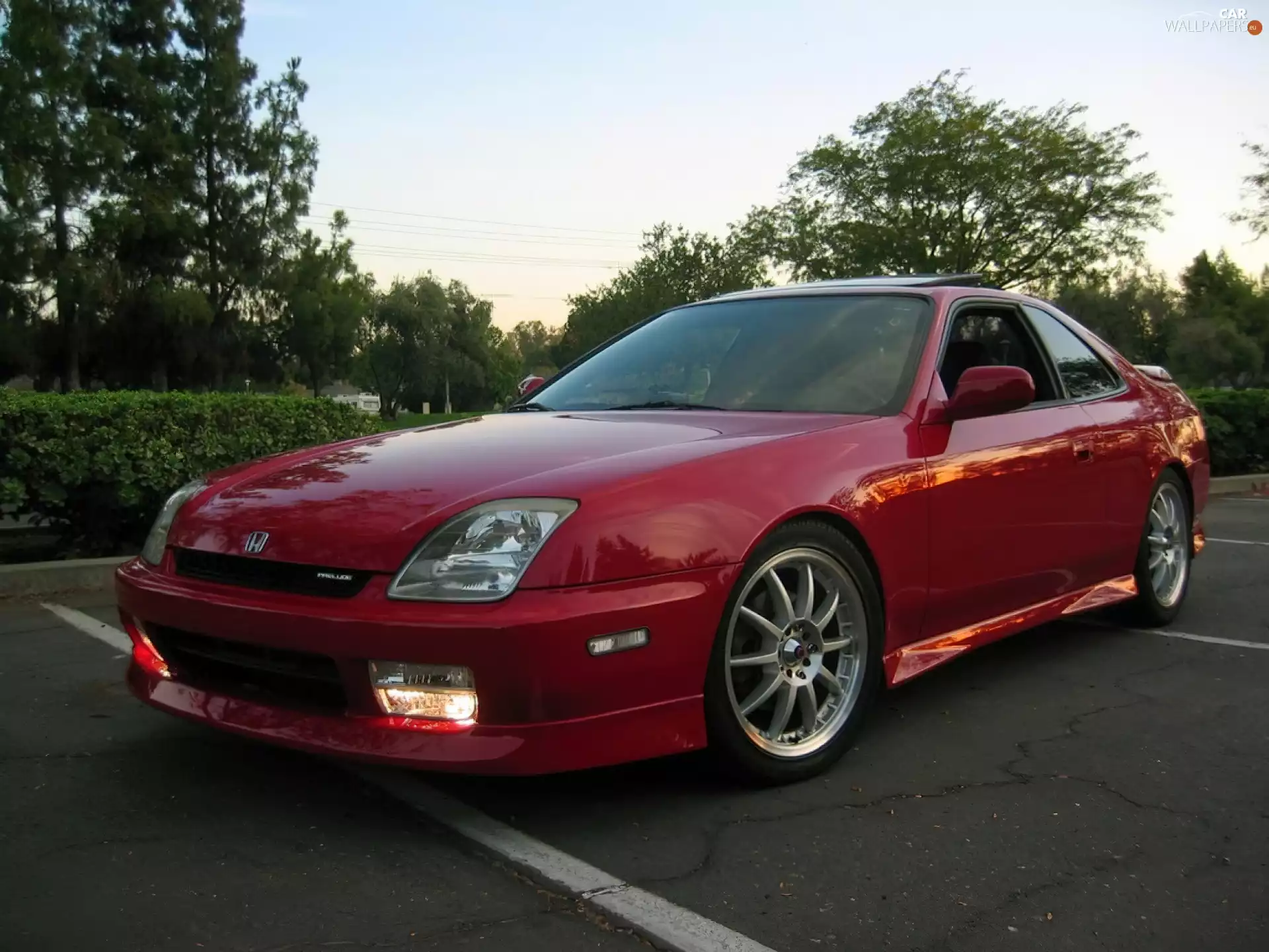 Mask, Honda Prelude, Halogens