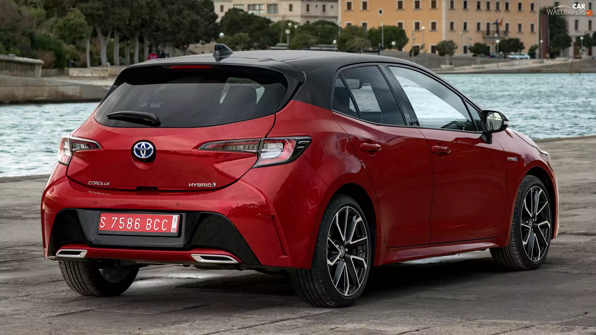 Back, Toyota Corolla, Hatchback