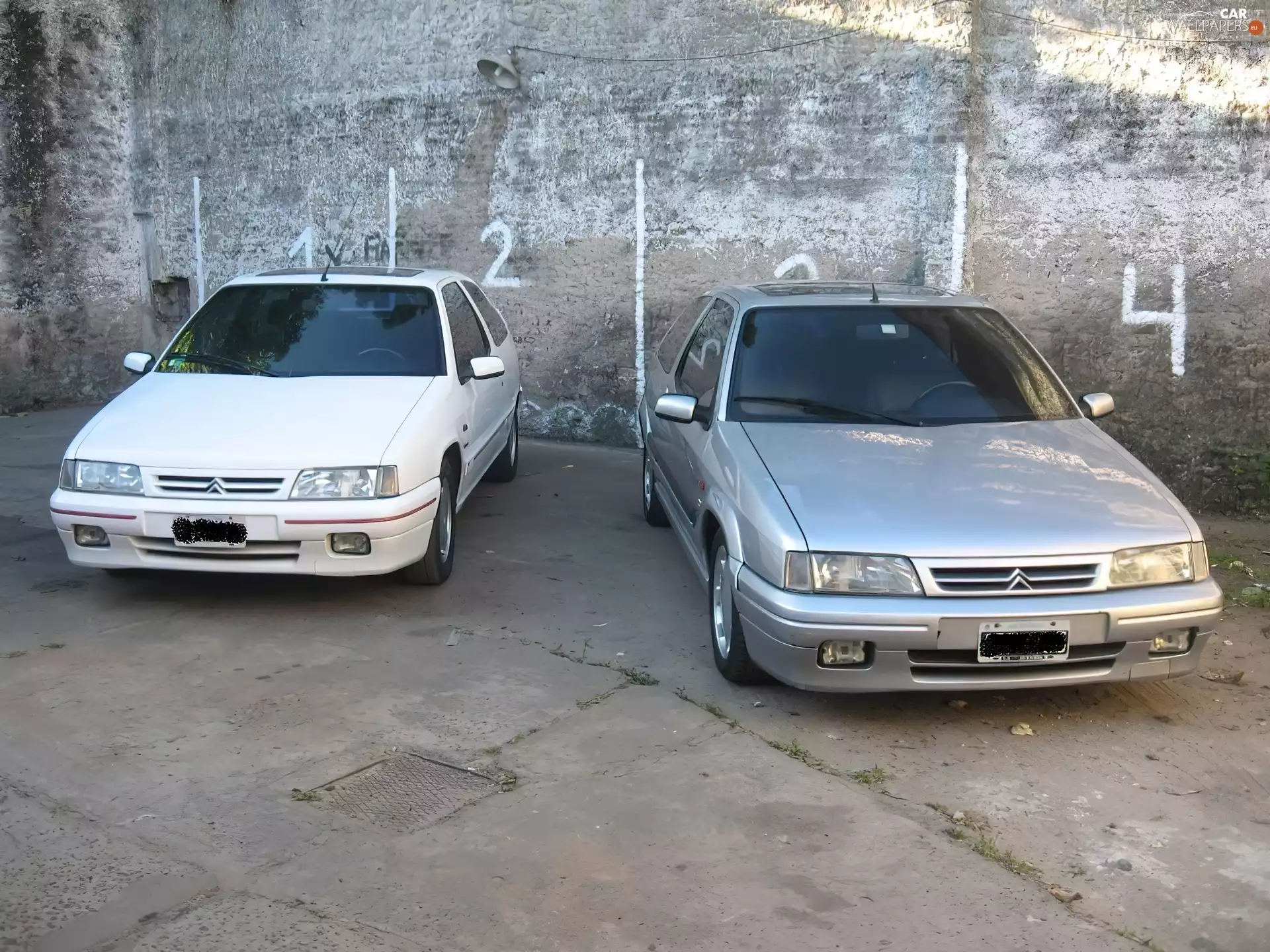 Combi, Citroen ZX, Hatchback