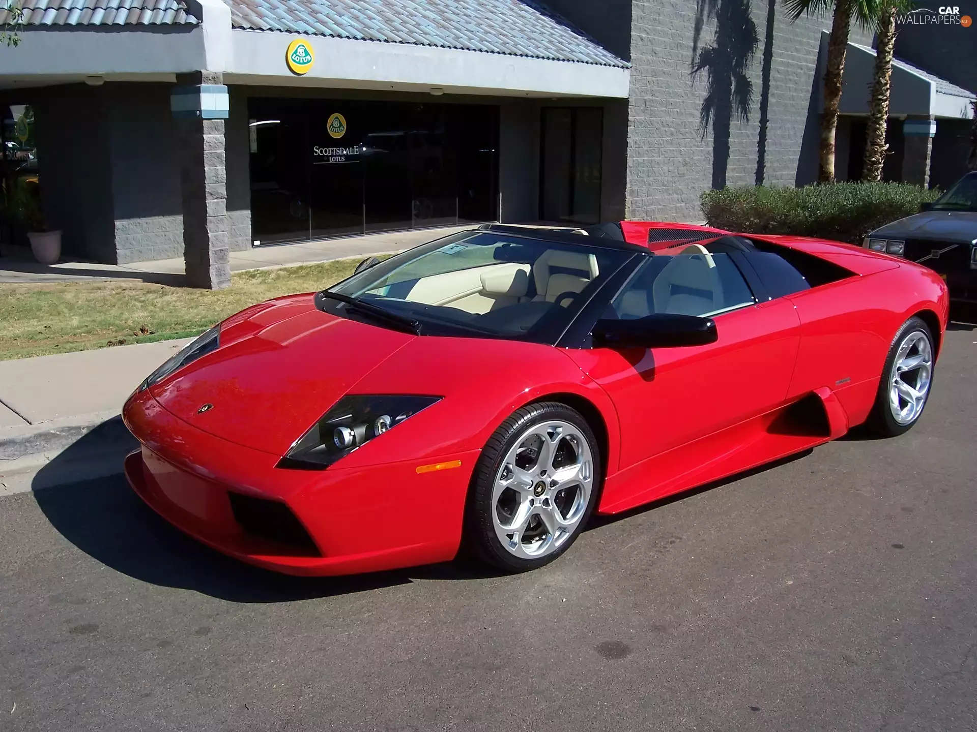 Lamborghini Murcielago, TARGA Honda