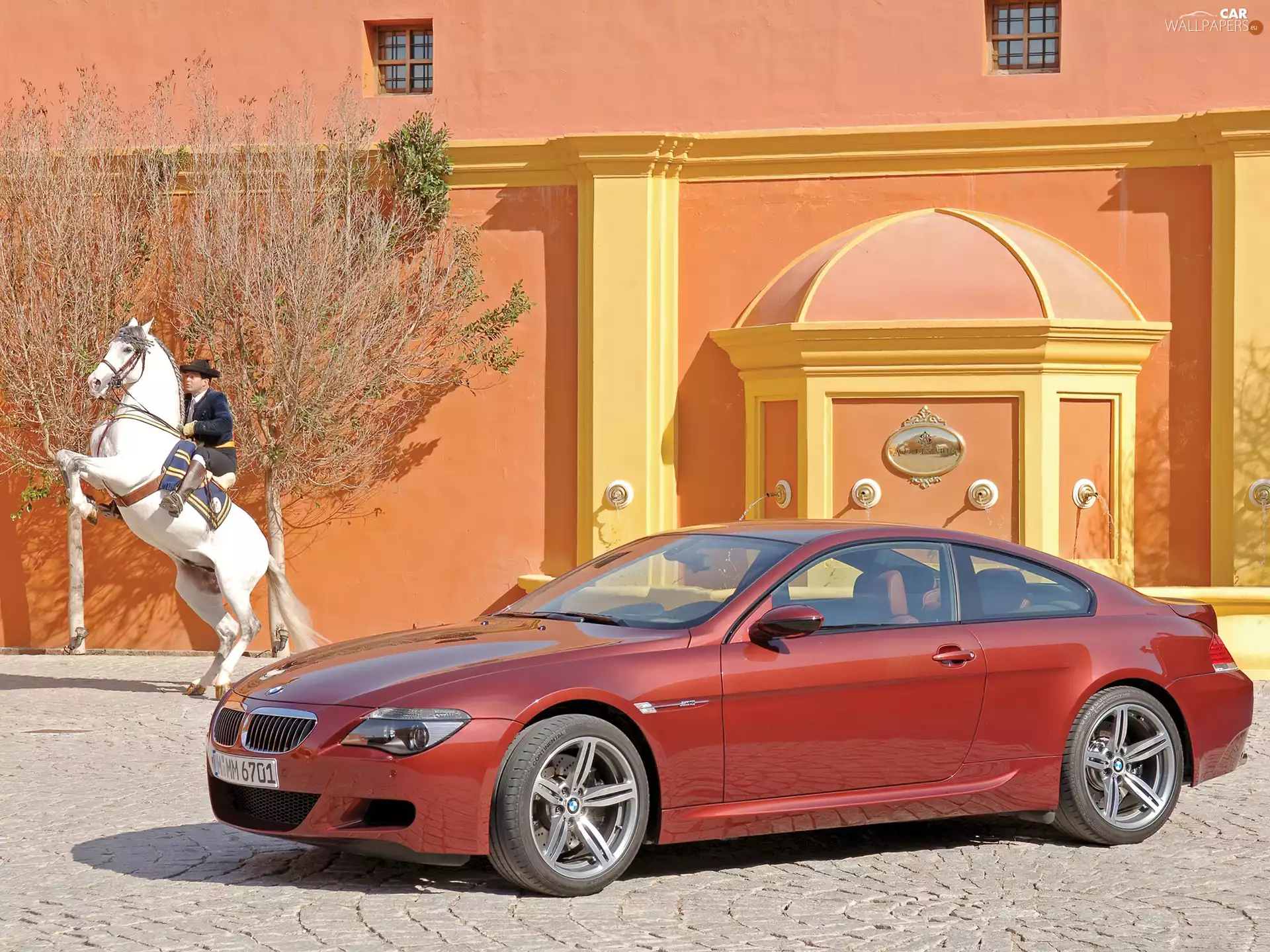 BMW 6, White horse