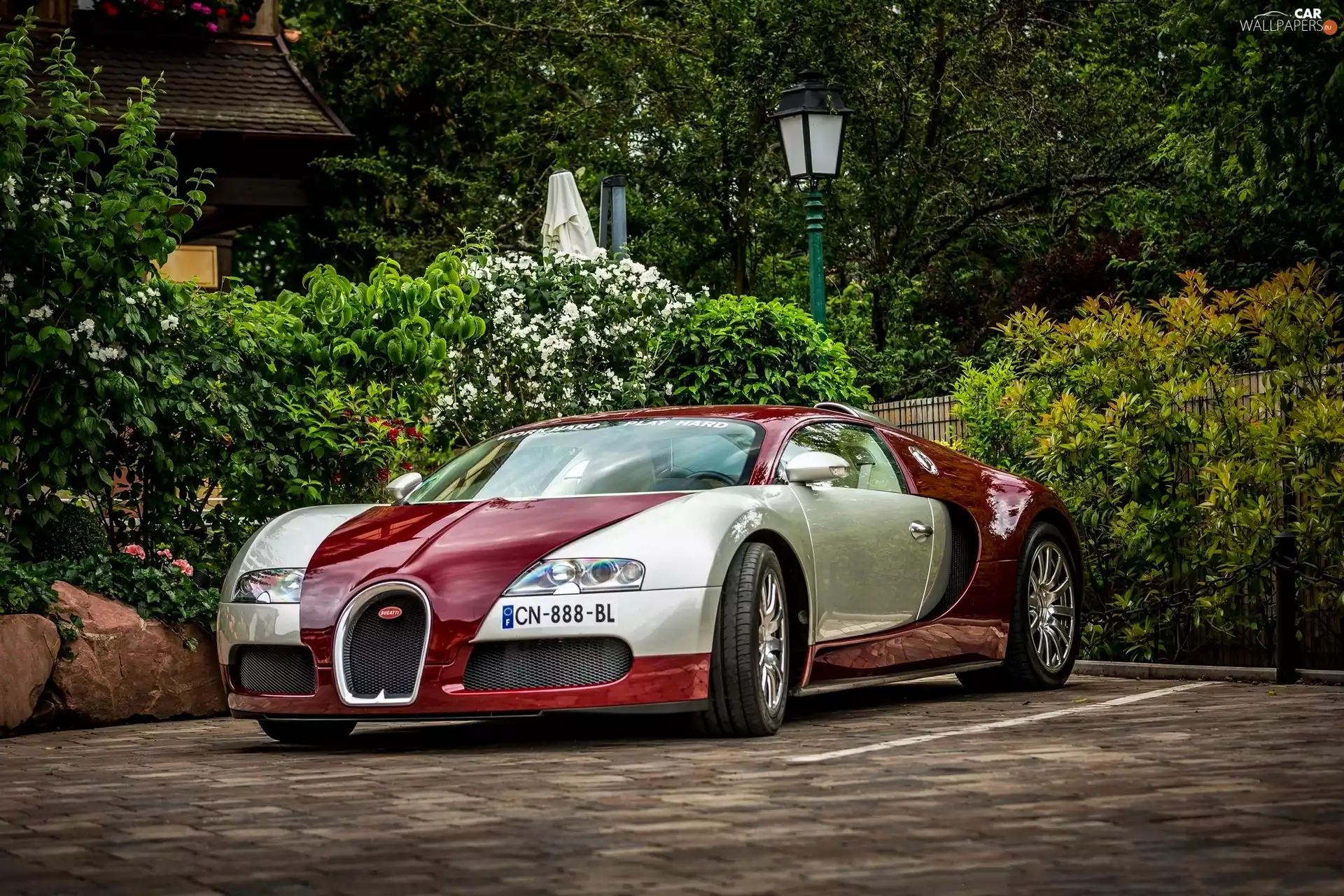 Bugatti Veyron, estate, house, motor car