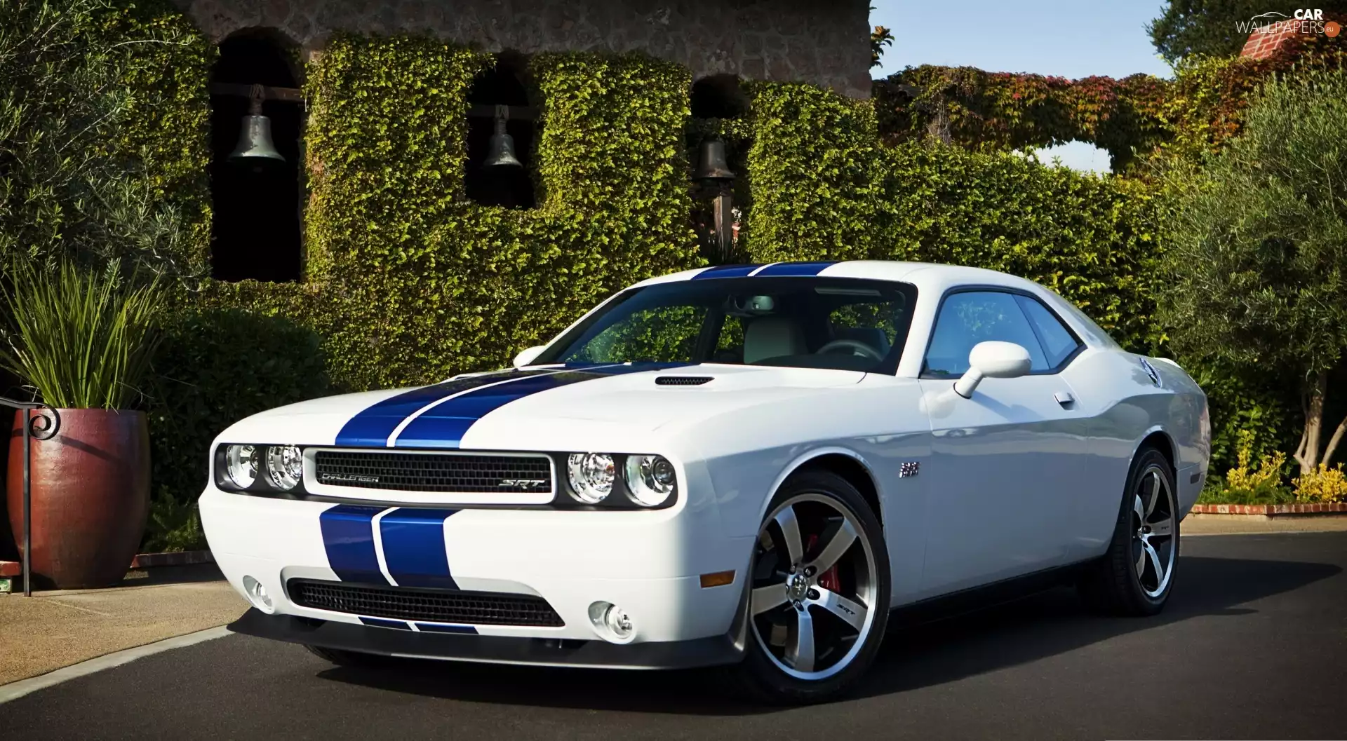 Dodge Challenger SRT8, house