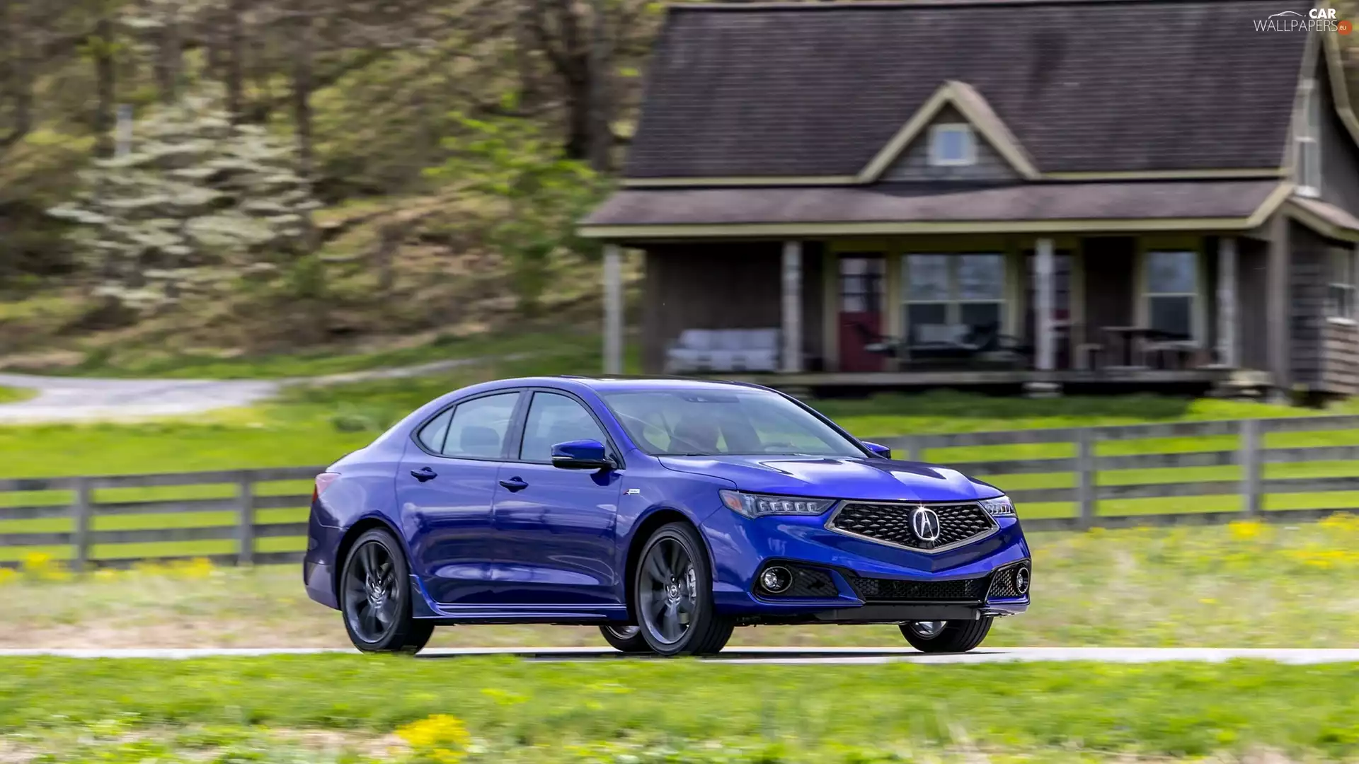 Blue, house, fence, Acura TLX