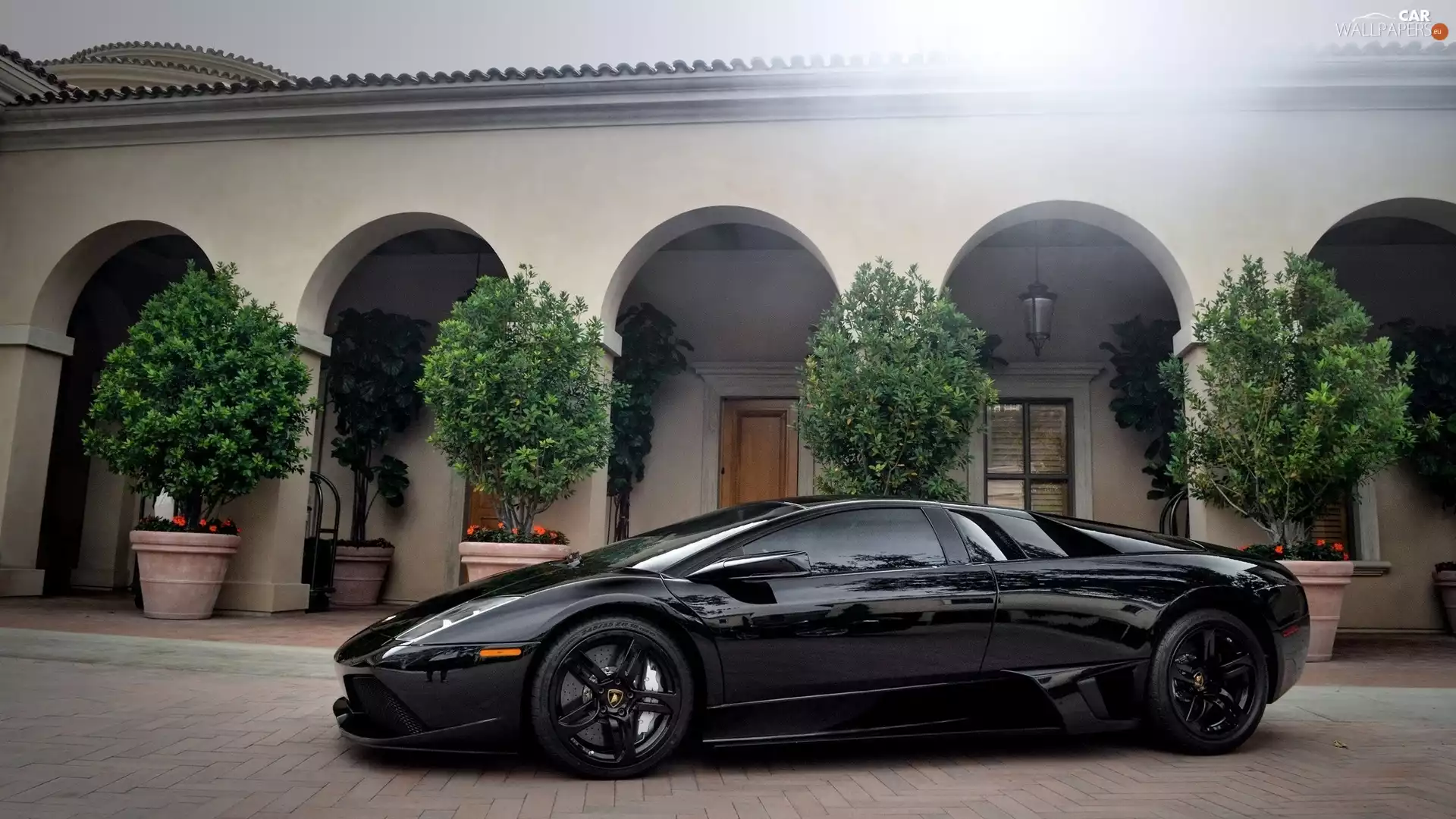 House, Black, Lamborghini