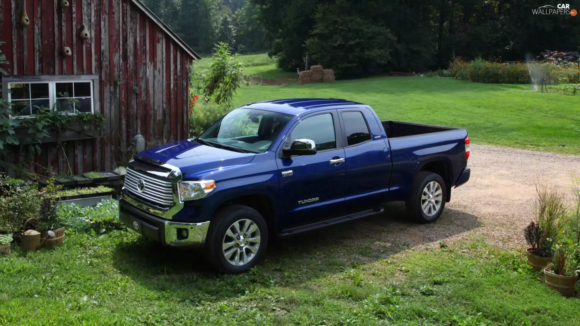 Lawn, Tundra, trees, house, Toyota, Bush, viewes