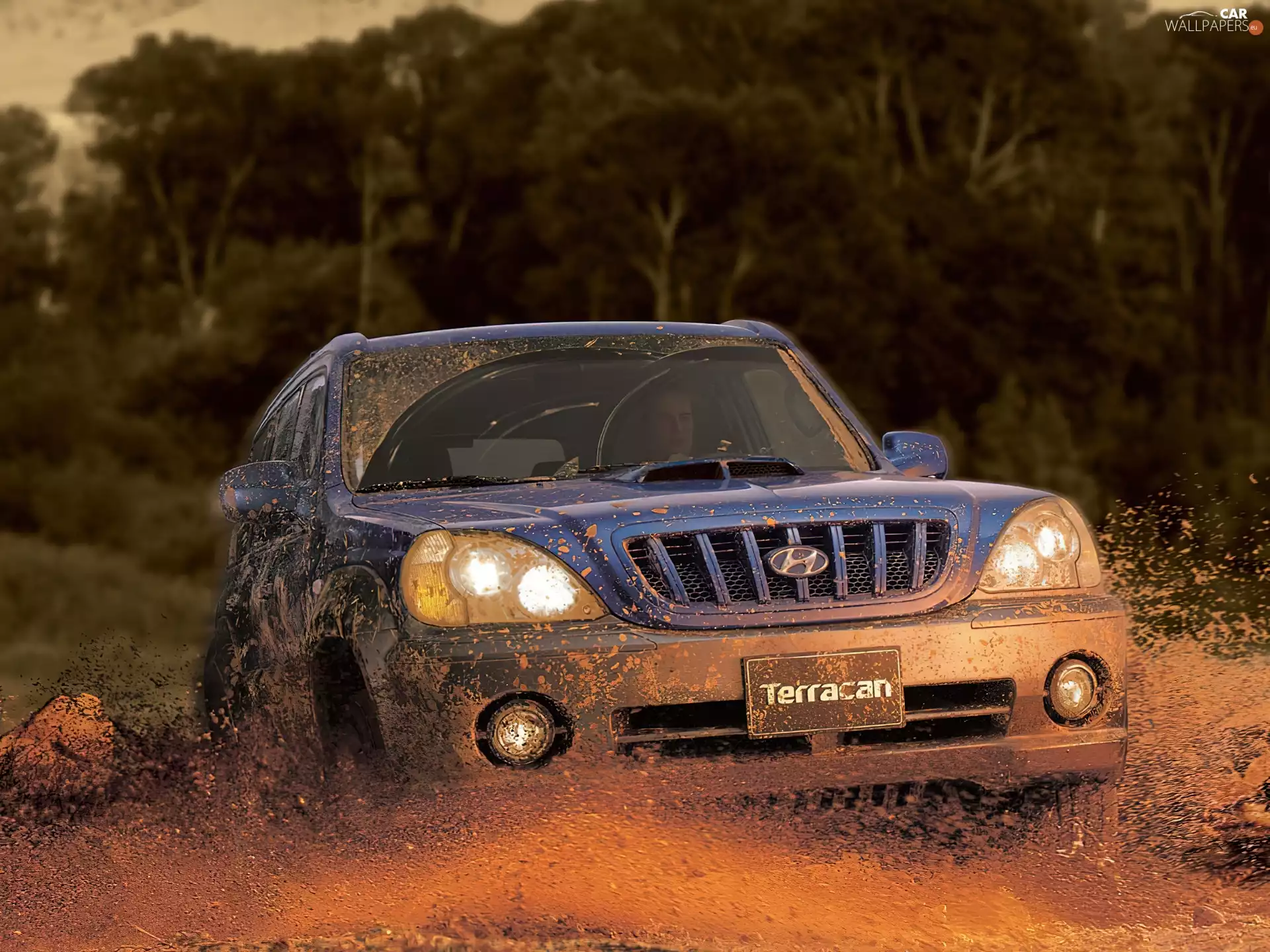 Hyundai Terracan, Mud