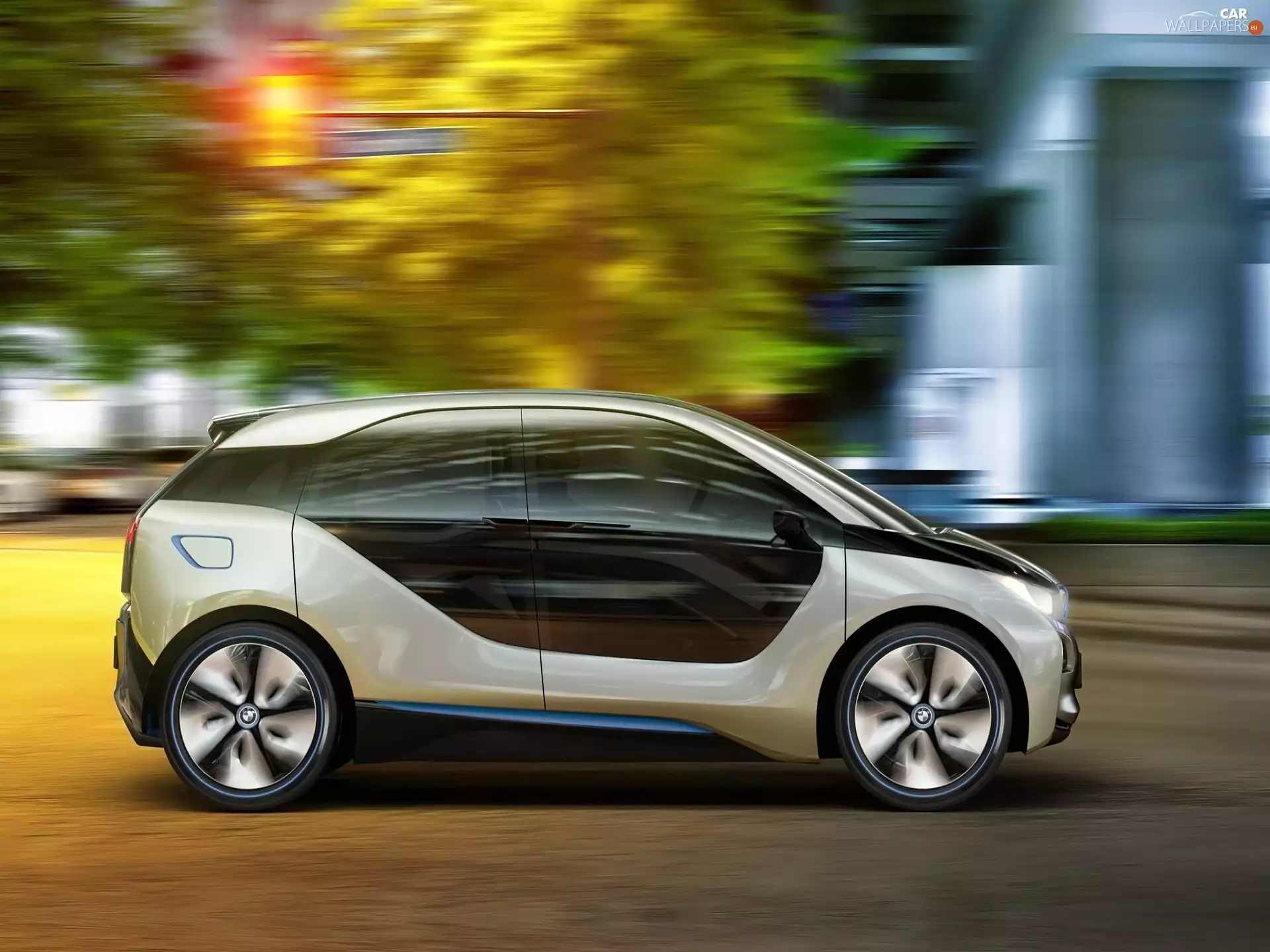 little doggies, BMW I3