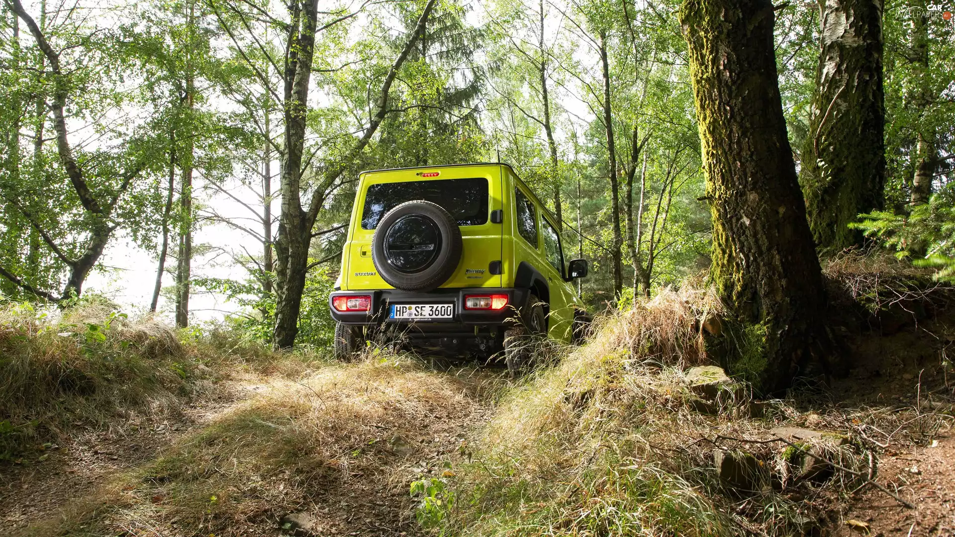 Suzuki Jimny, trees, viewes, Back