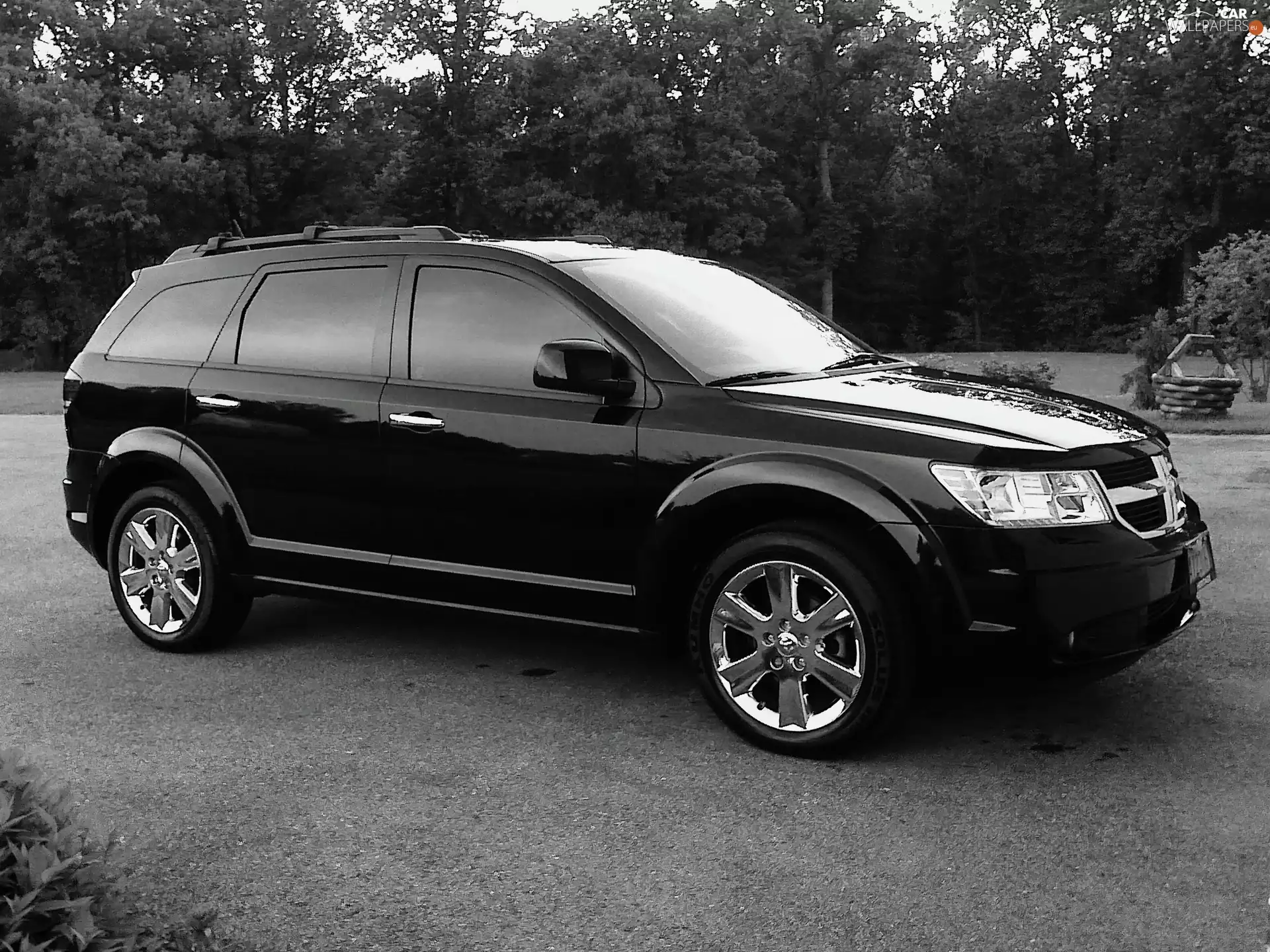 Dodge Journey, White, picture, black