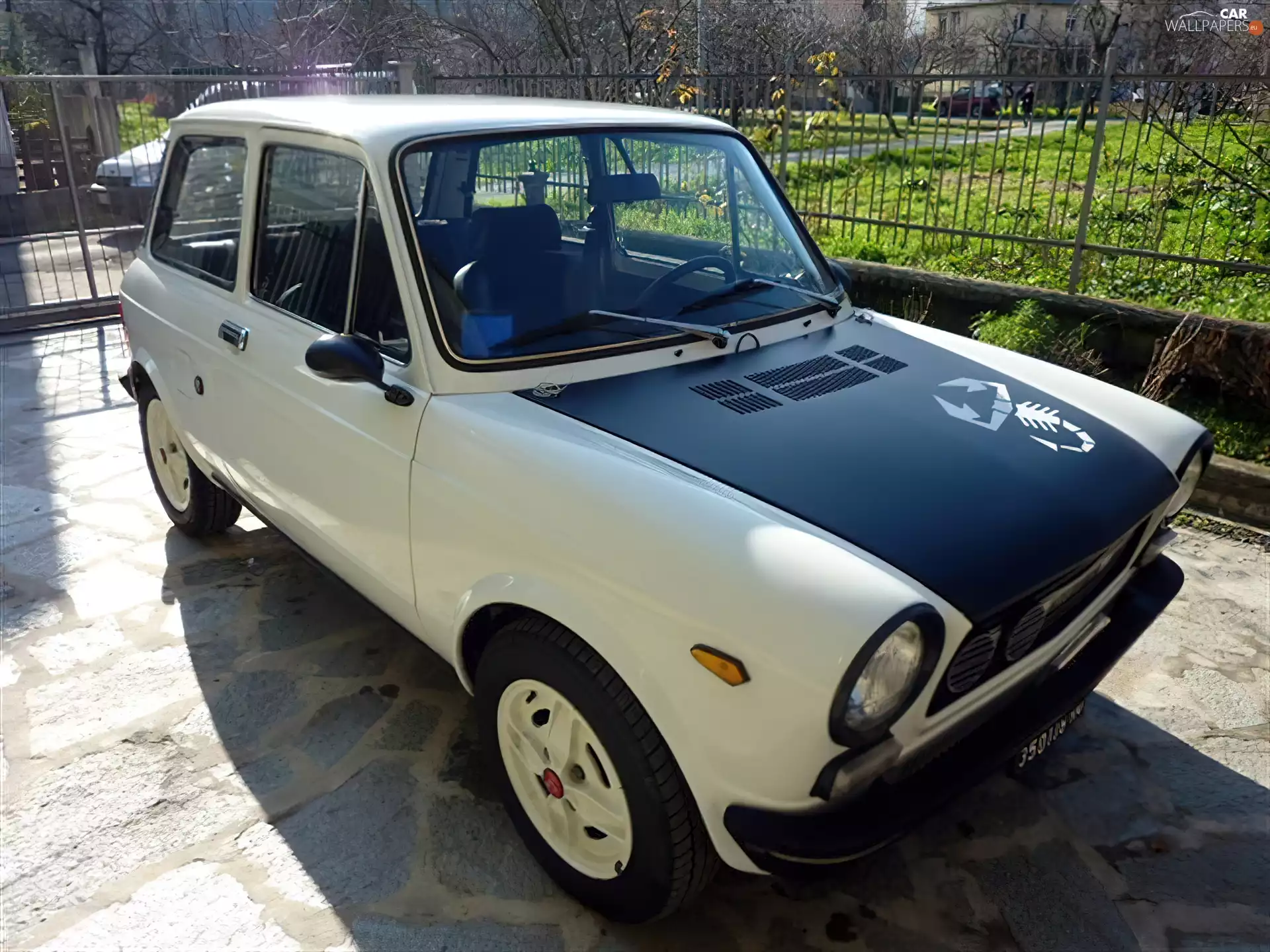 cream, label, Scorpion, Autobianchi Bianchina