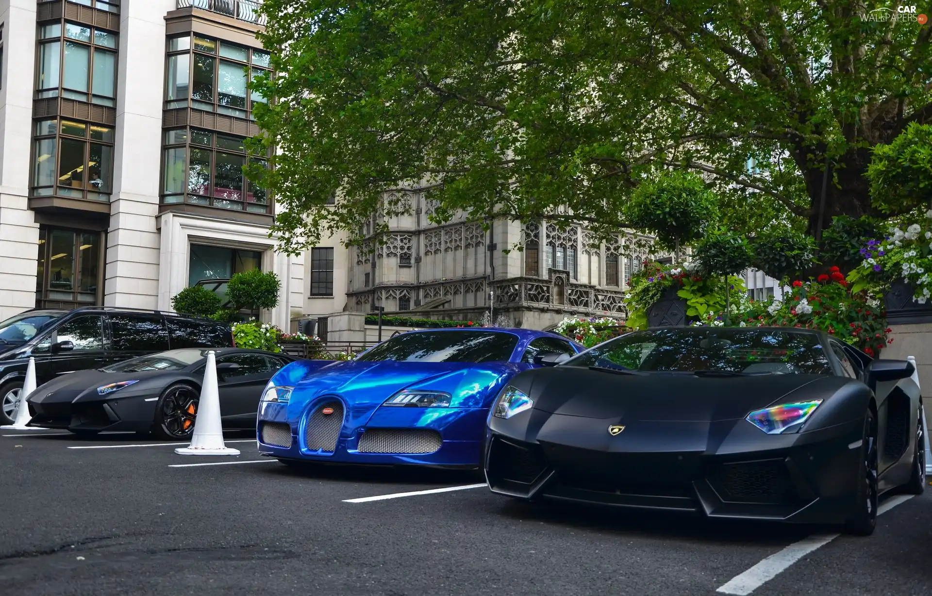 blue, Black, Lamborghini Aventador, Bugatti Veyron