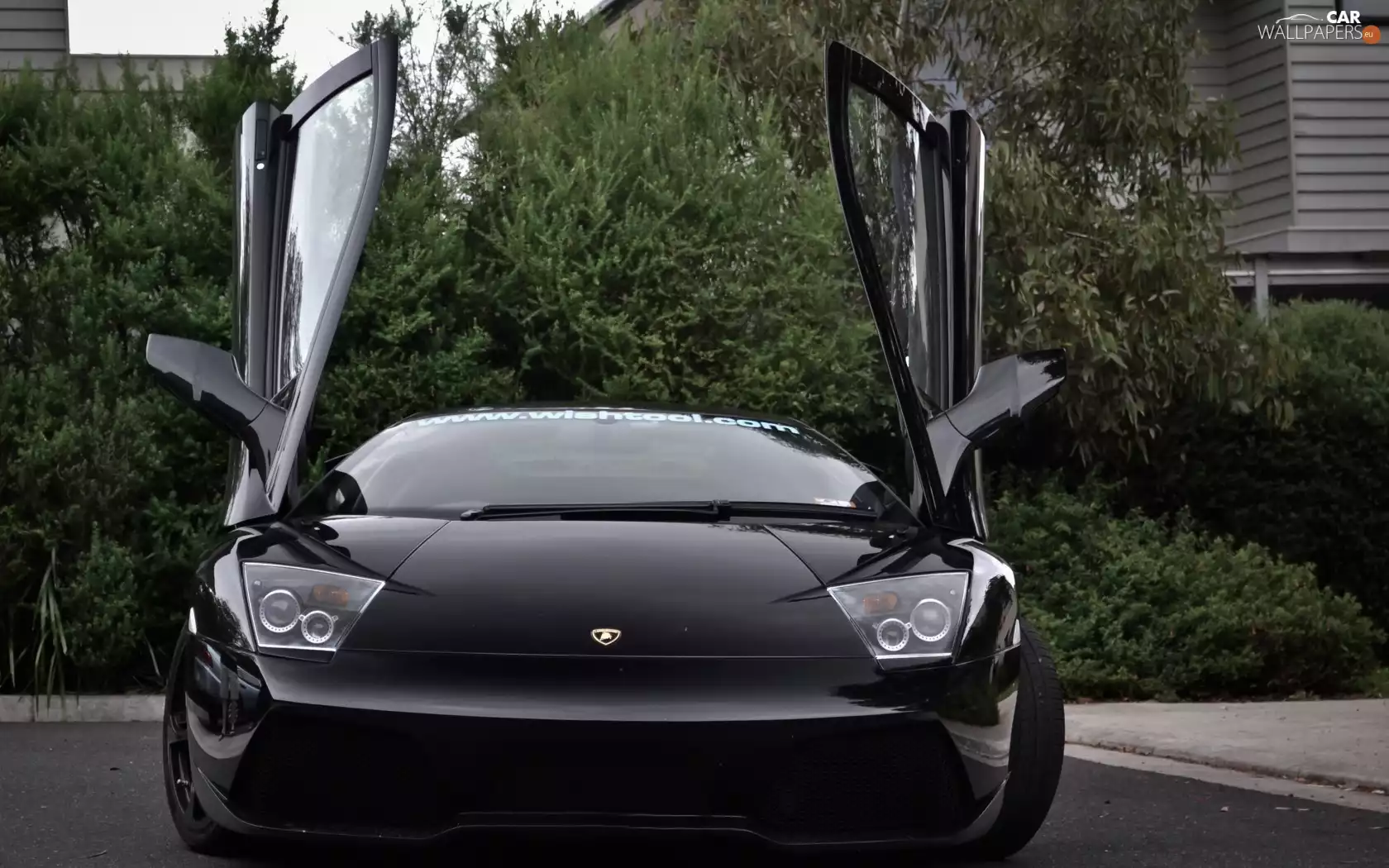 Lamborghini, Murcielago