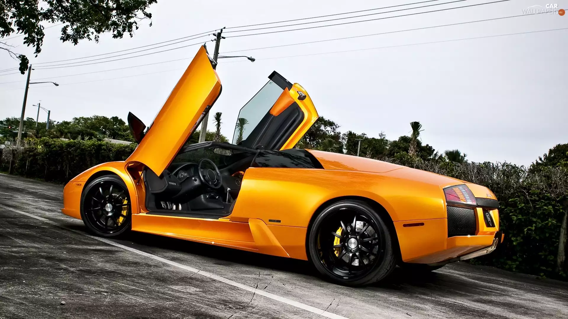 Lamborghini Murcielago