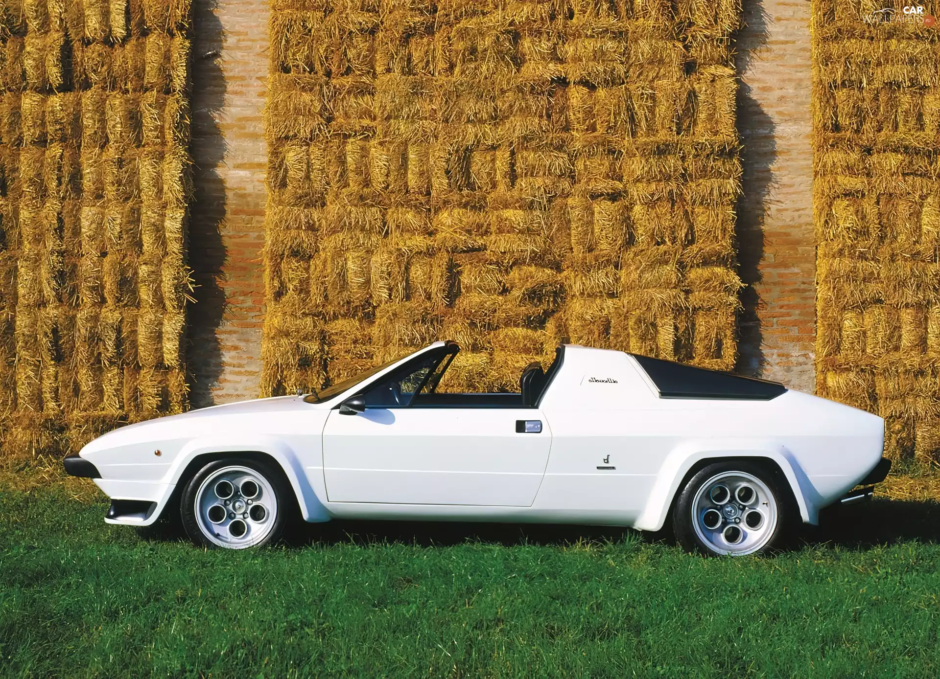 Lamborghini Silhouette