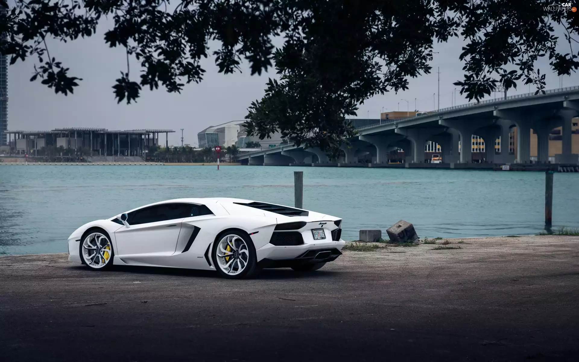 White, River, bridge, Lamborghini