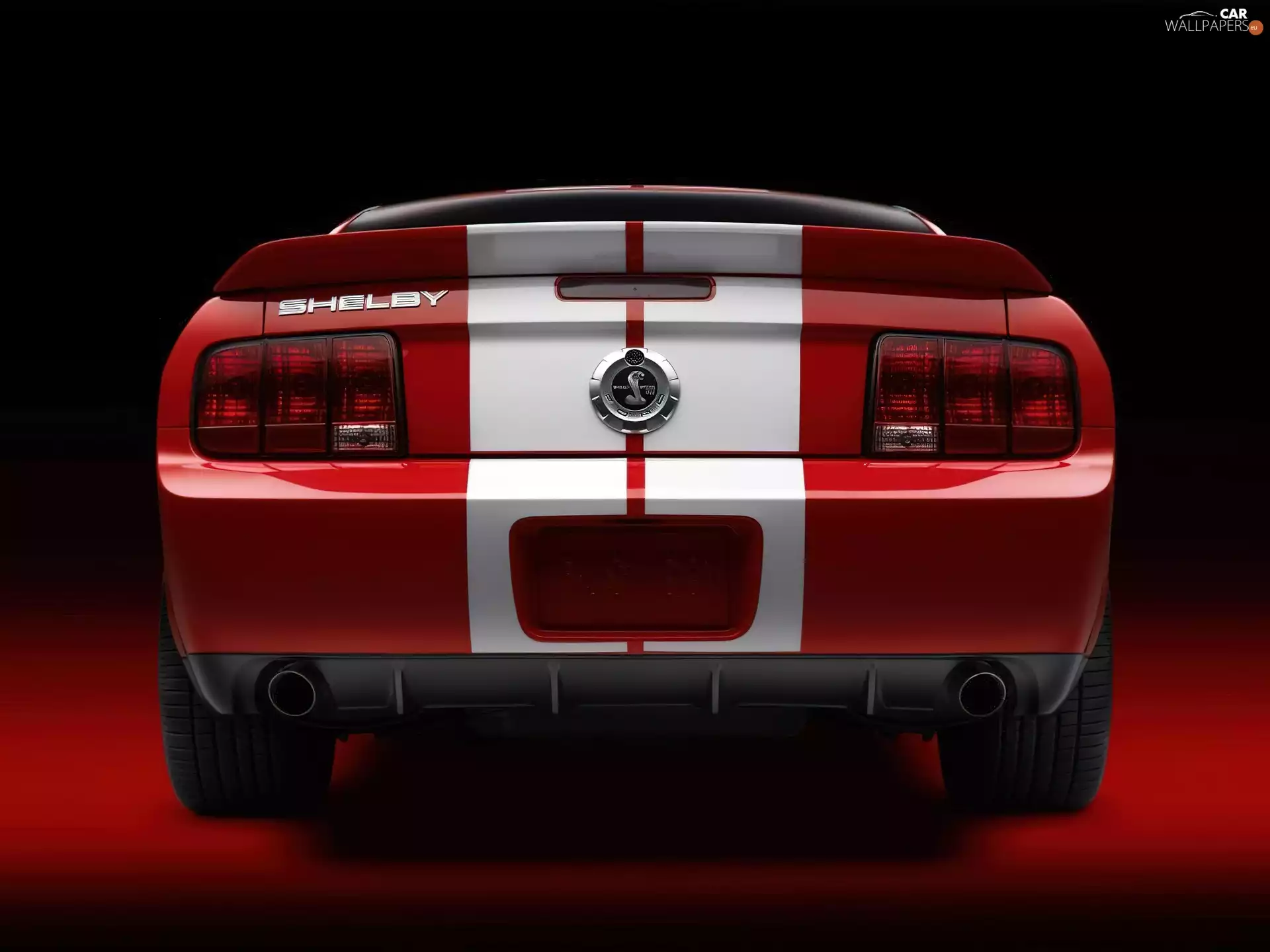 Shelby, Lamps, Back, Ford Mustang