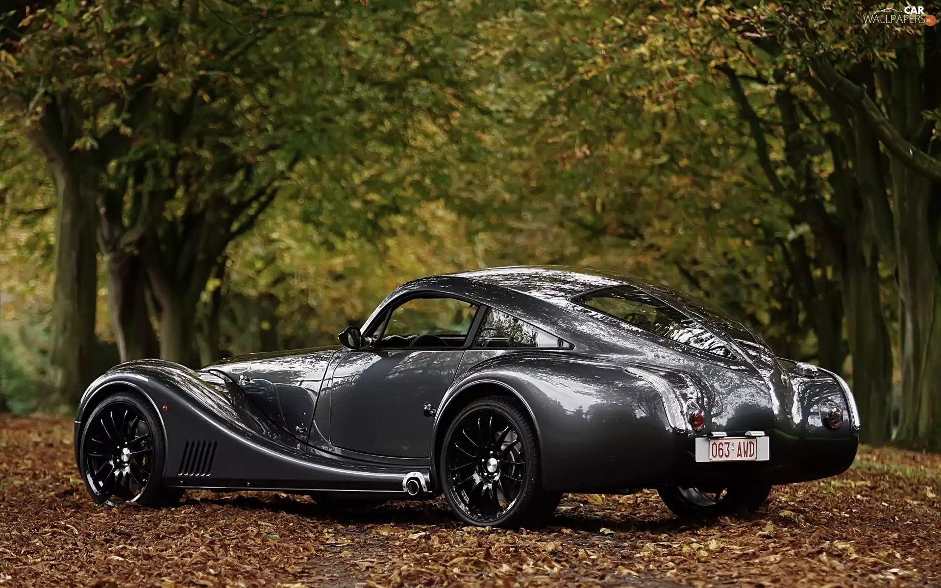 viewes, Leaf, Morgan, trees, Automobile