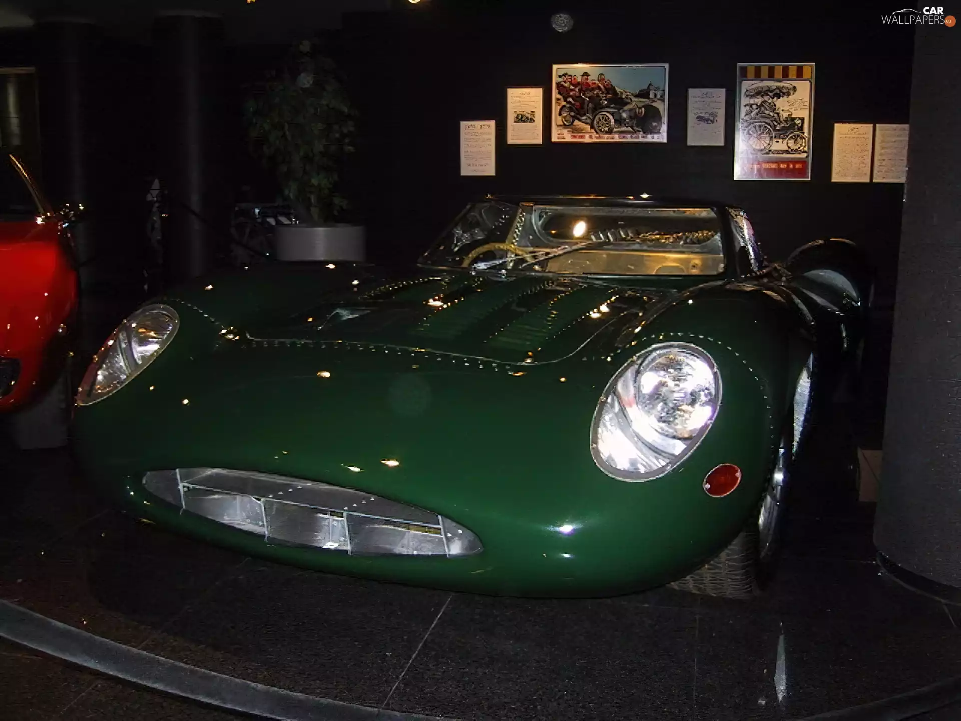 light, Jaguar, bumper