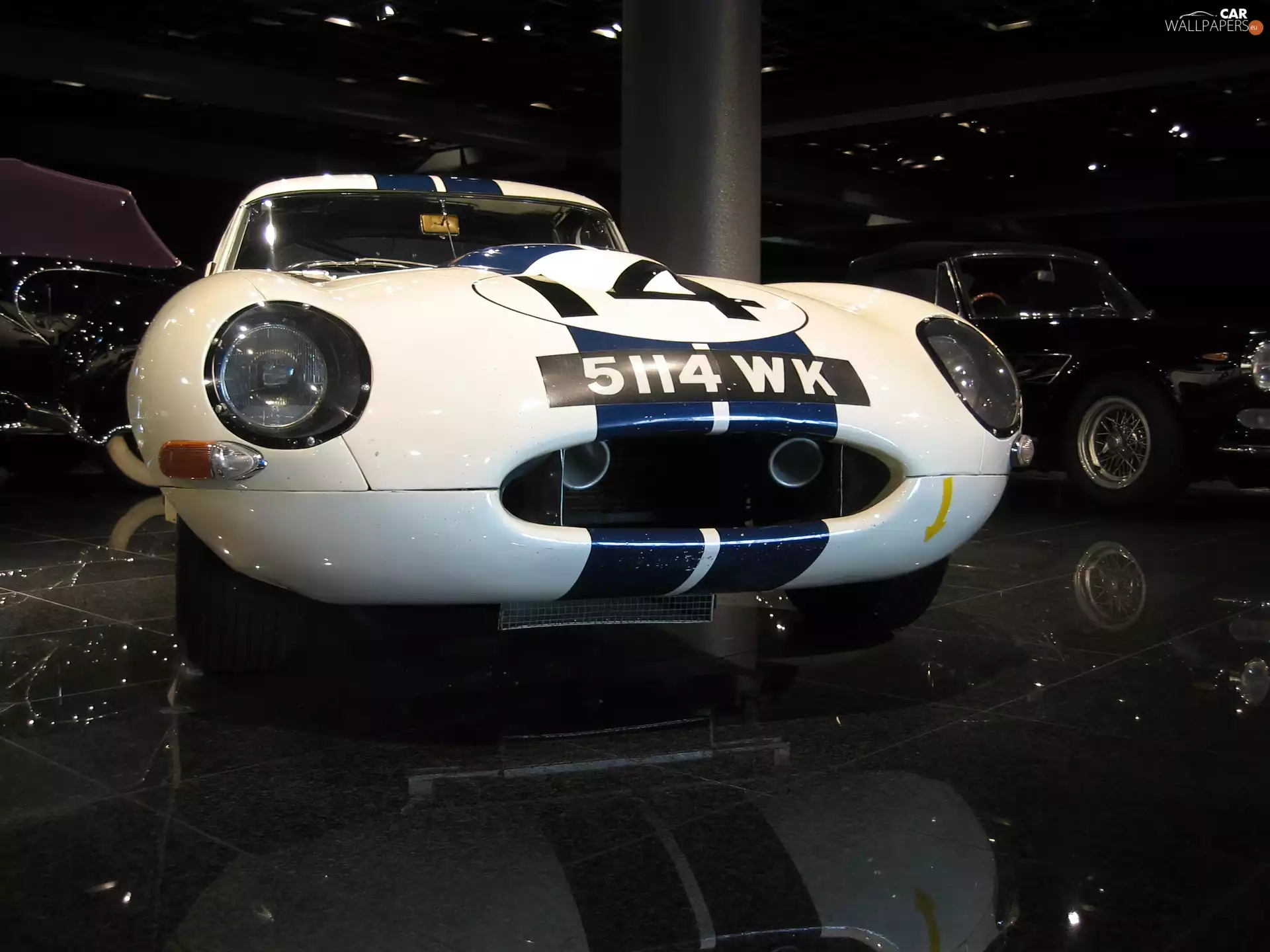 light, Jaguar, bumper