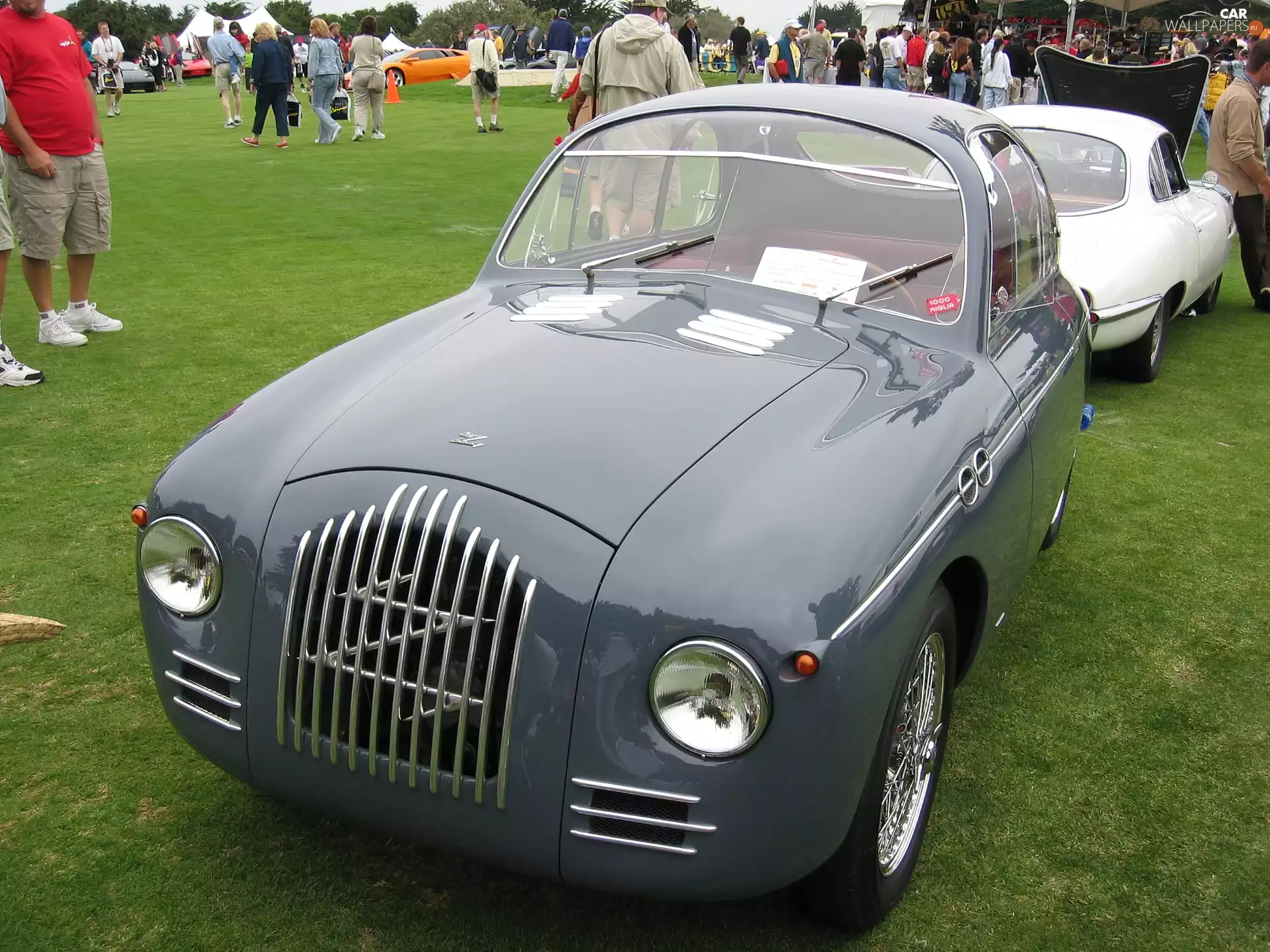 Fiat, wiper, wheels, light